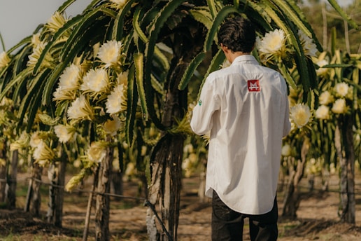 Friendly DFSA team member consulting with a grower in a flourishing dragon fruit orchard.