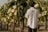 A person is standing in a field of dragon fruit plants with large white flowers. They are wearing a light-colored shirt with a logo on the back and appear to be tending to the plants. The scene is set outdoors in a natural environment with sunlight illuminating the flowers.