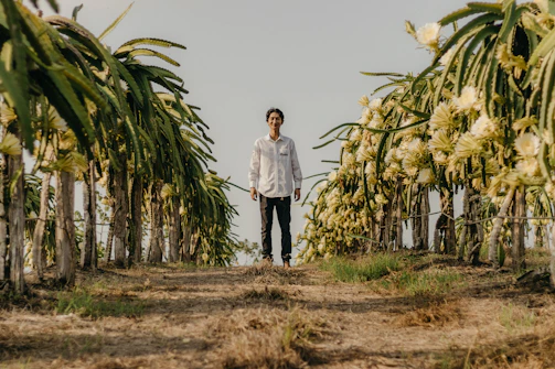 a man standing in a field of palm trees