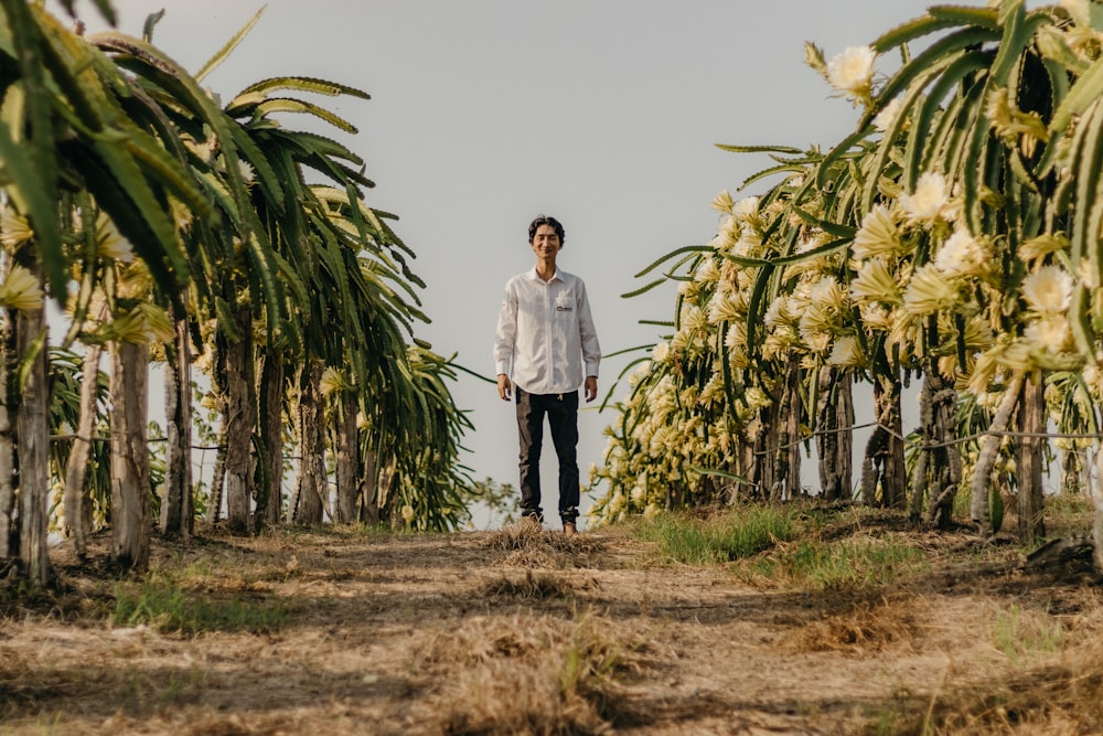 a man standing in a field of palm trees