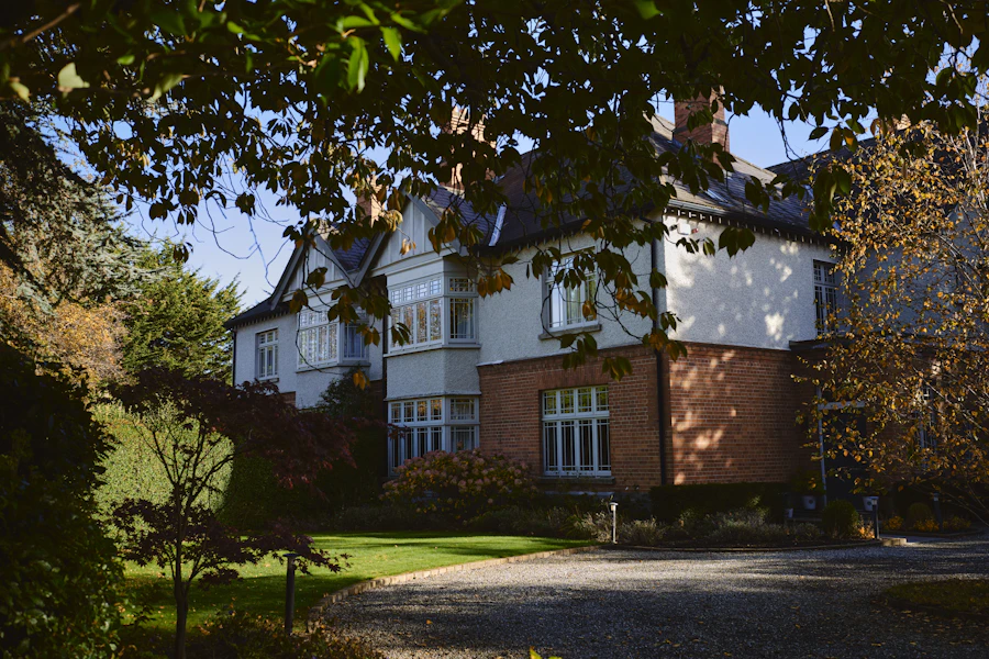 Property, Freemi