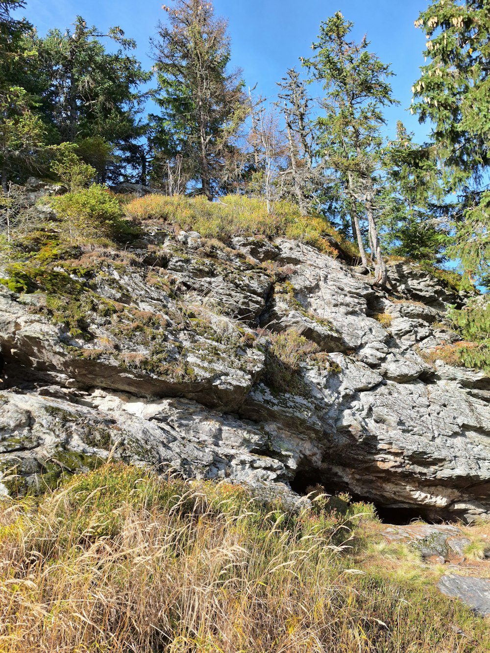 a rocky hillside with trees and grass on it