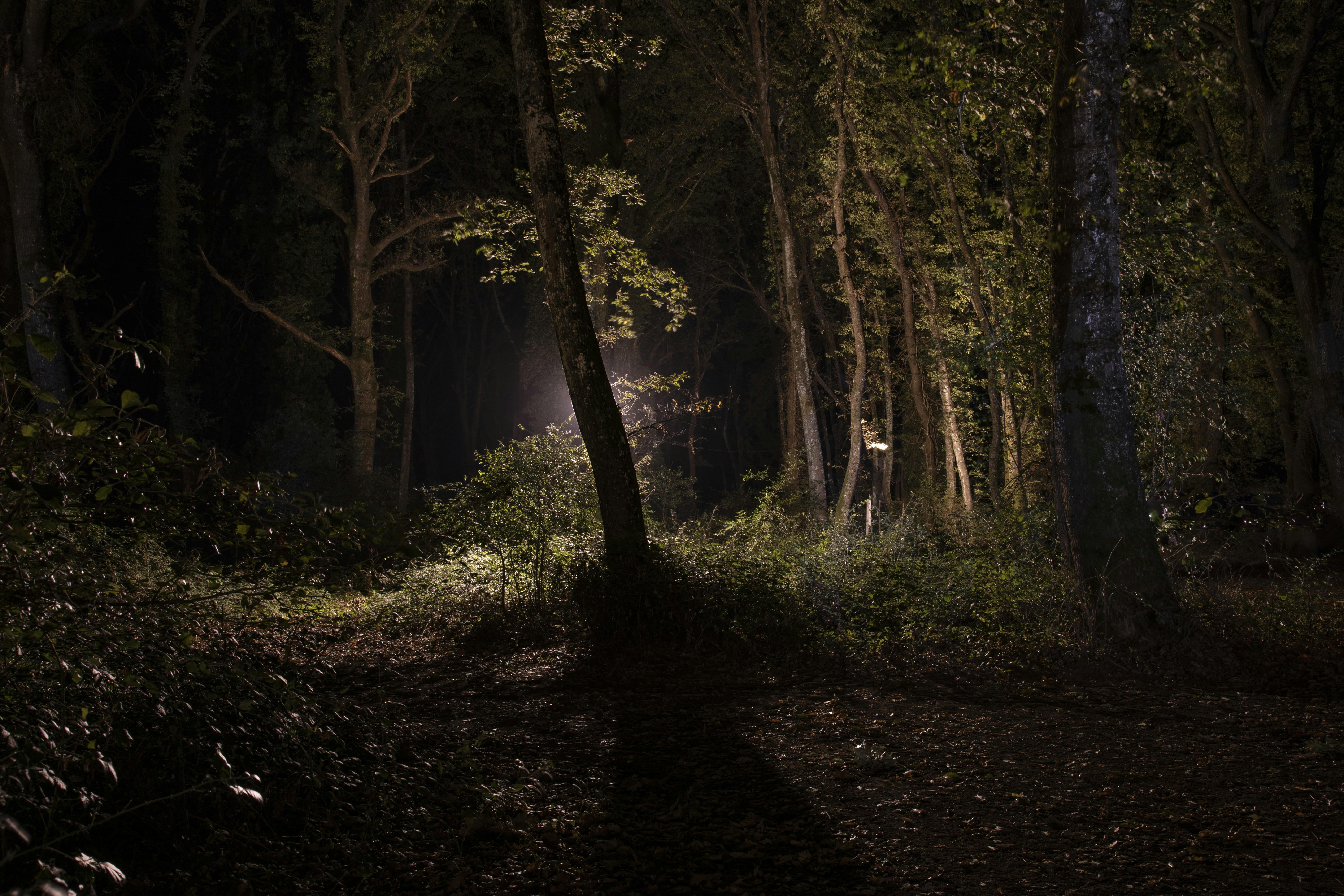 Photo by jddartphotographer