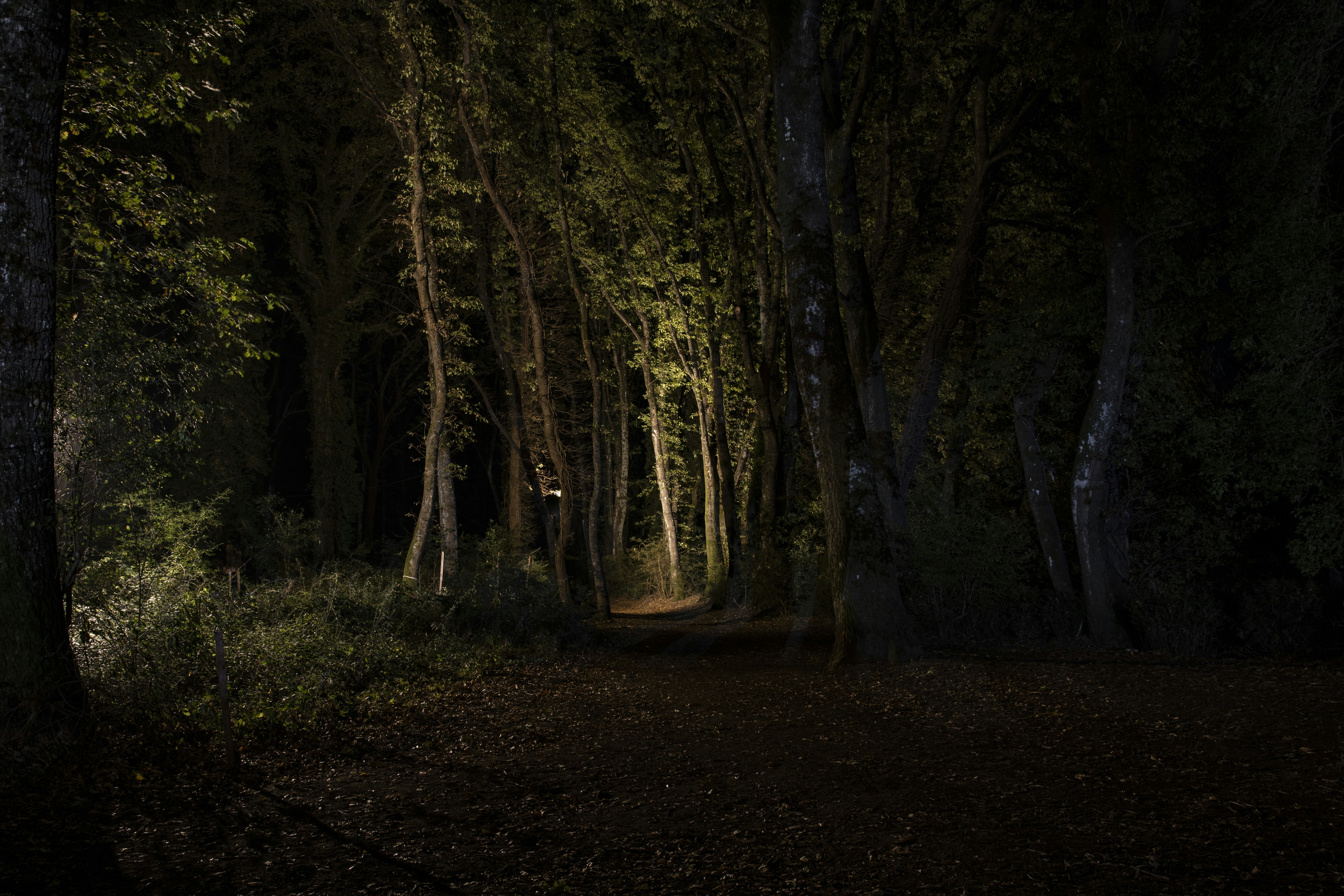 Photo by jddartphotographer