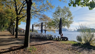 A riverside scene with rows of trees along a walking path and picnic tables beneath the trees. Several large umbrellas are closed and positioned beside the tables. The water in the river is calm, and industrial cranes can be seen in the distance across the river. The ground is partially covered with fallen leaves, indicating an autumn setting.