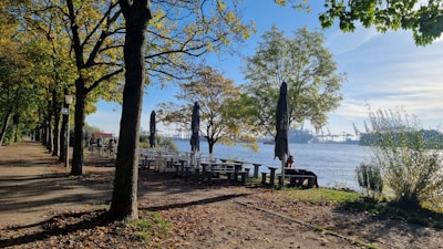 A riverside scene with rows of trees along a walking path and picnic tables beneath the trees. Several large umbrellas are closed and positioned beside the tables. The water in the river is calm, and industrial cranes can be seen in the distance across the river. The ground is partially covered with fallen leaves, indicating an autumn setting.
