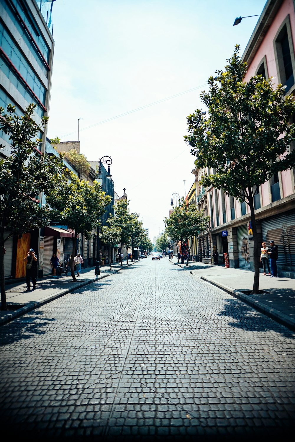 a cobblestone street lined with trees and buildings