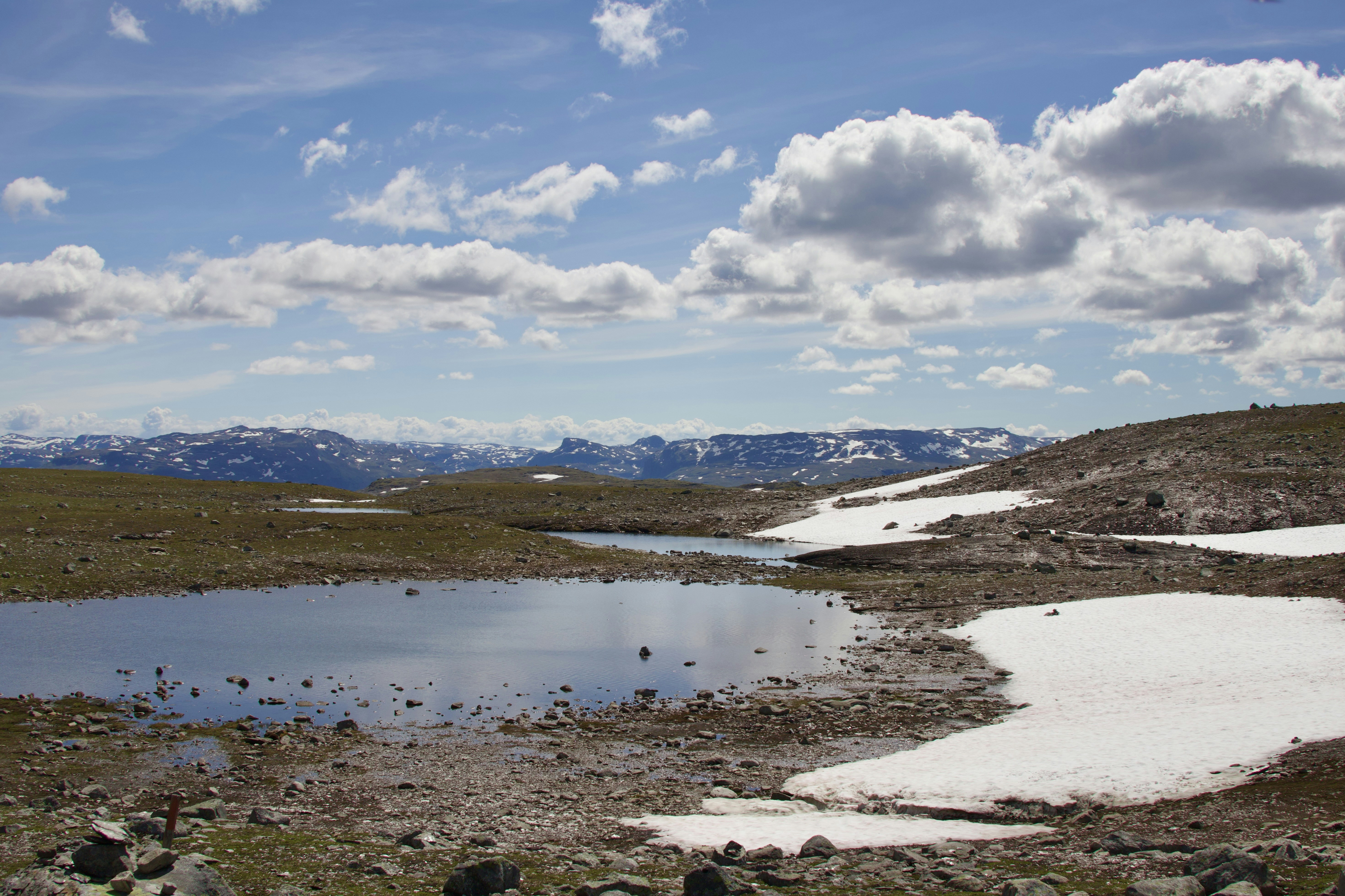 Photo by stockbirken