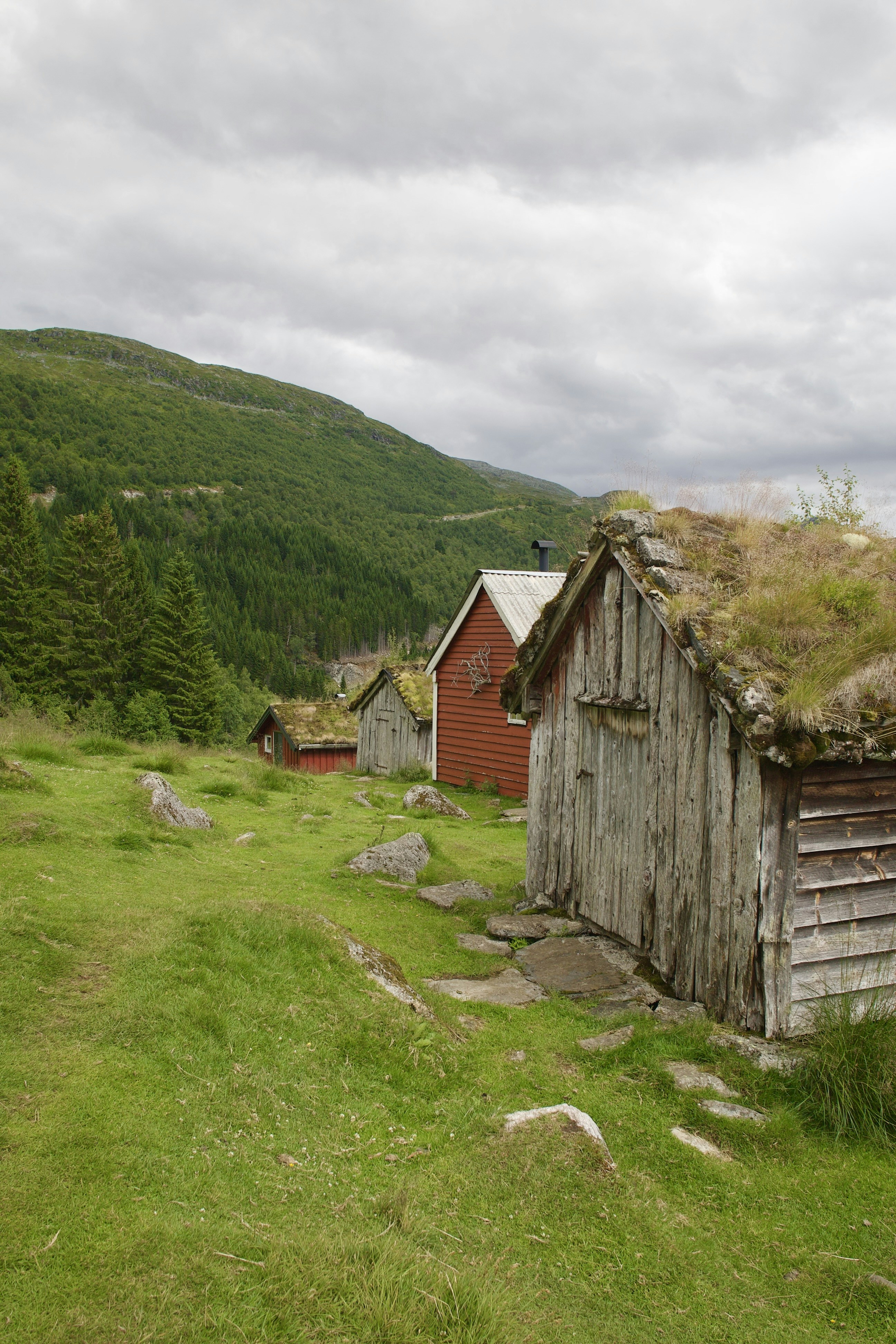 Photo by stockbirken