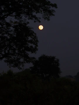 Softly glowing moonlight casting shadows over a scattered pile of delicate paper shards.