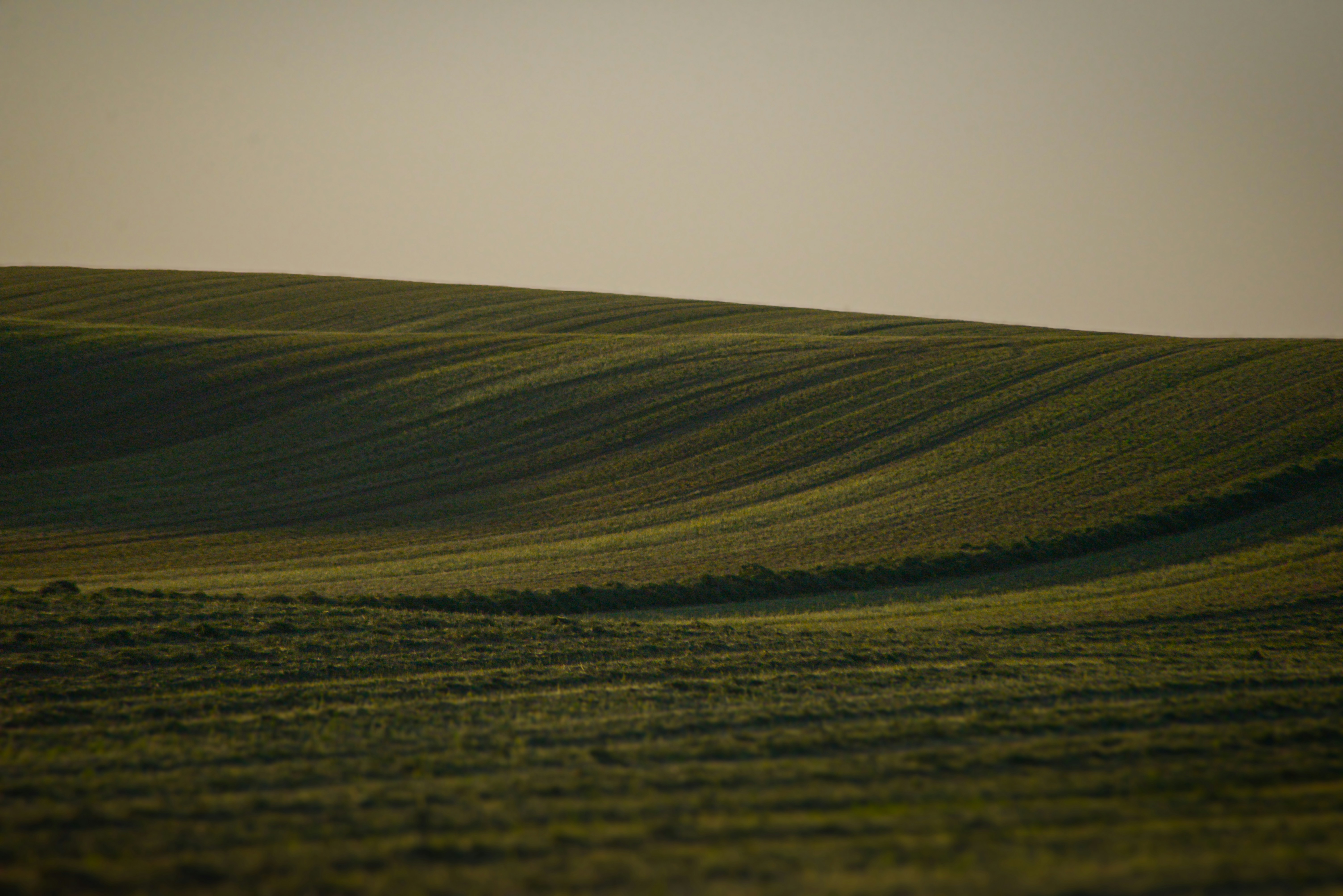 Photo by to_the_moon_studios