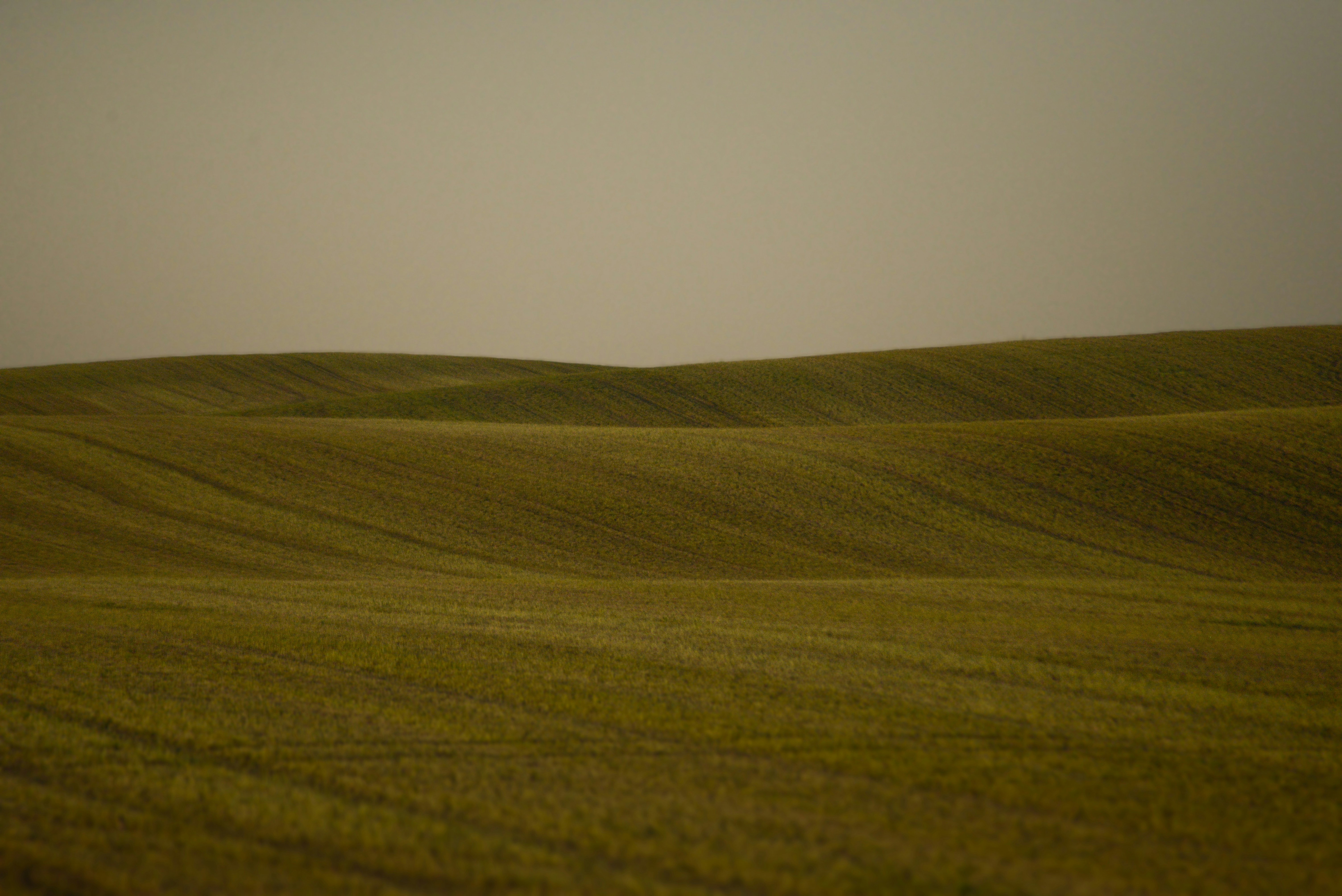 Photo by to_the_moon_studios