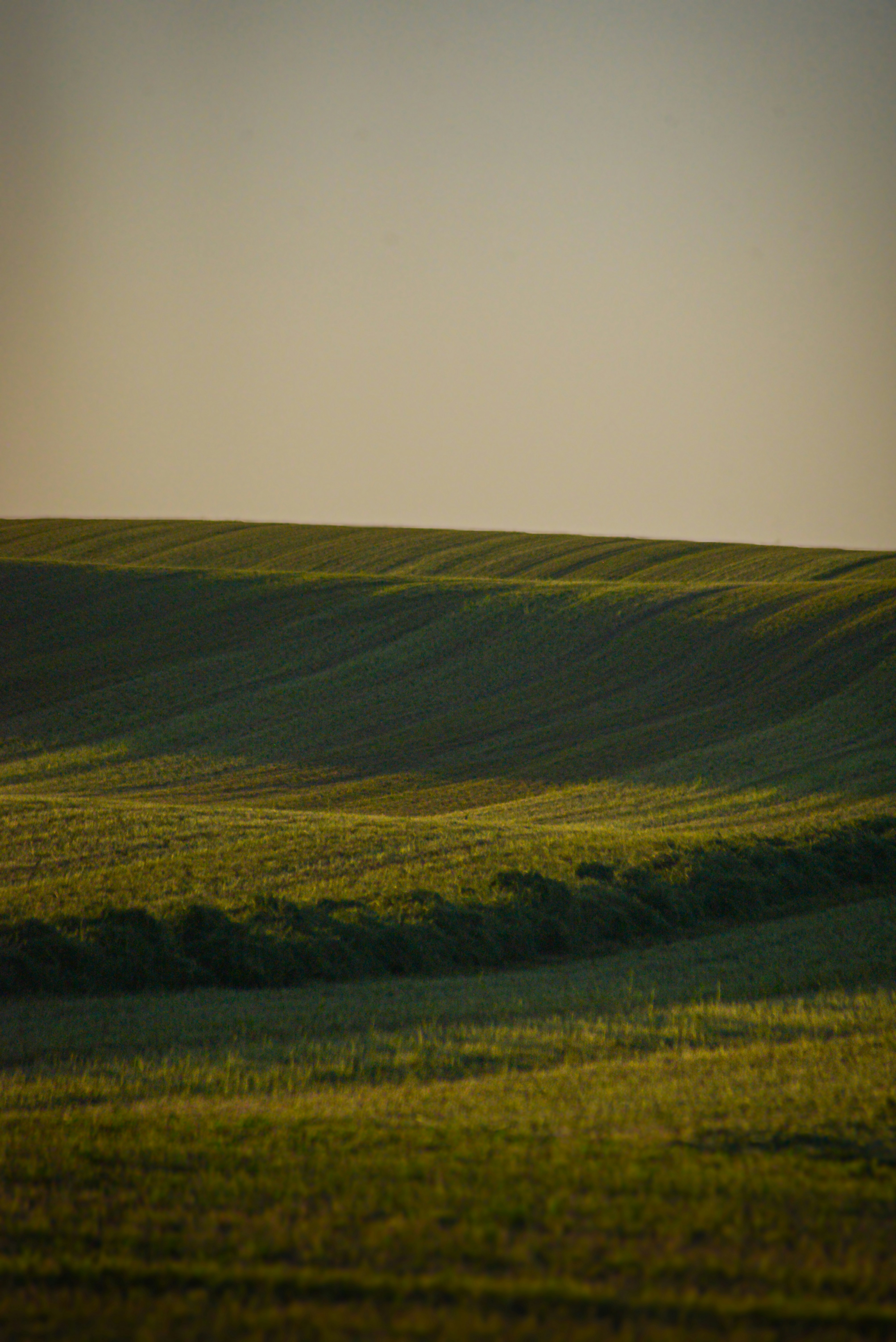 Photo by to_the_moon_studios