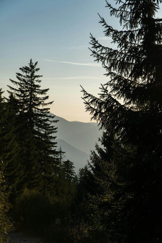 Caminhos da Natureza