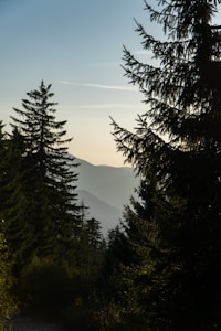 Caminhos da Natureza