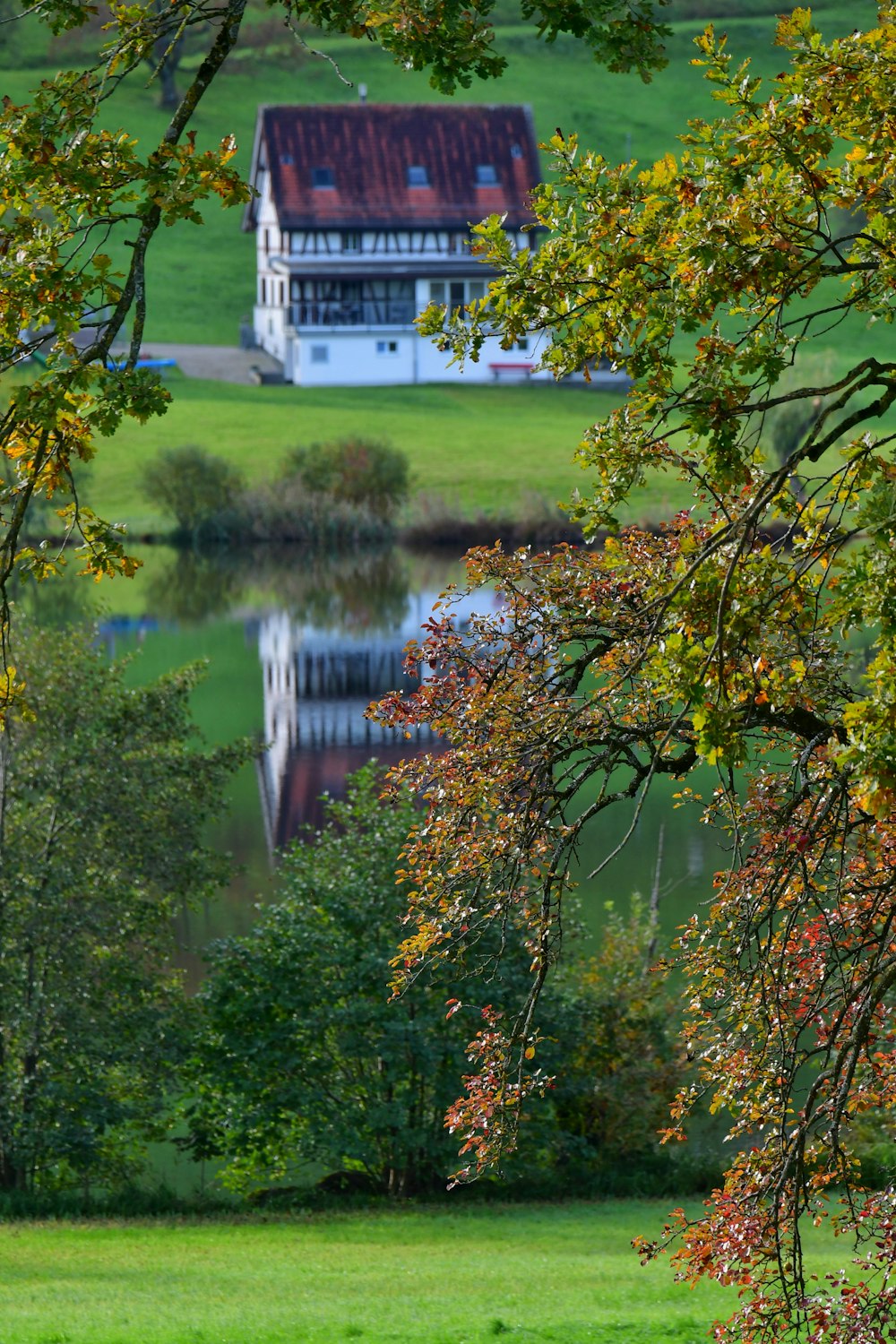 a house sitting on top of a lush green hillside next to a lake