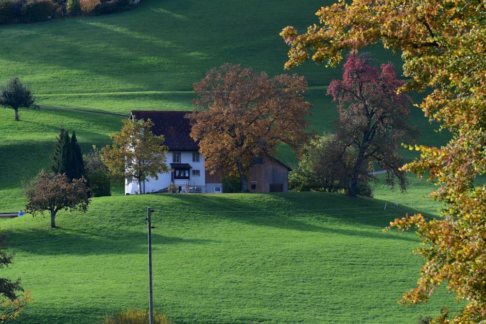 Une maison au milieu d’un champ verdoyant