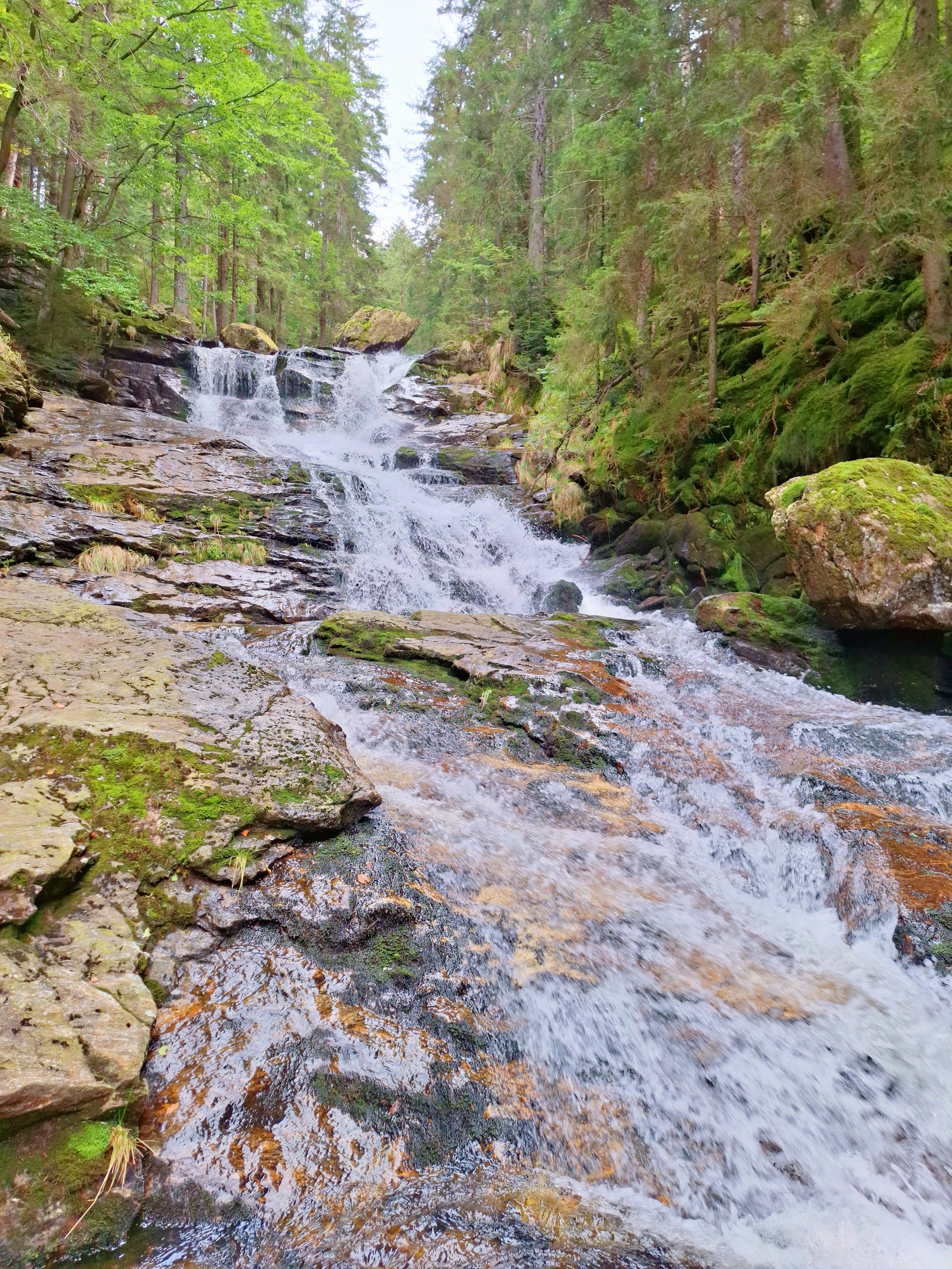 Close-up view of the cascading waterfall surrounded by rocks and vibrant forest foliage.