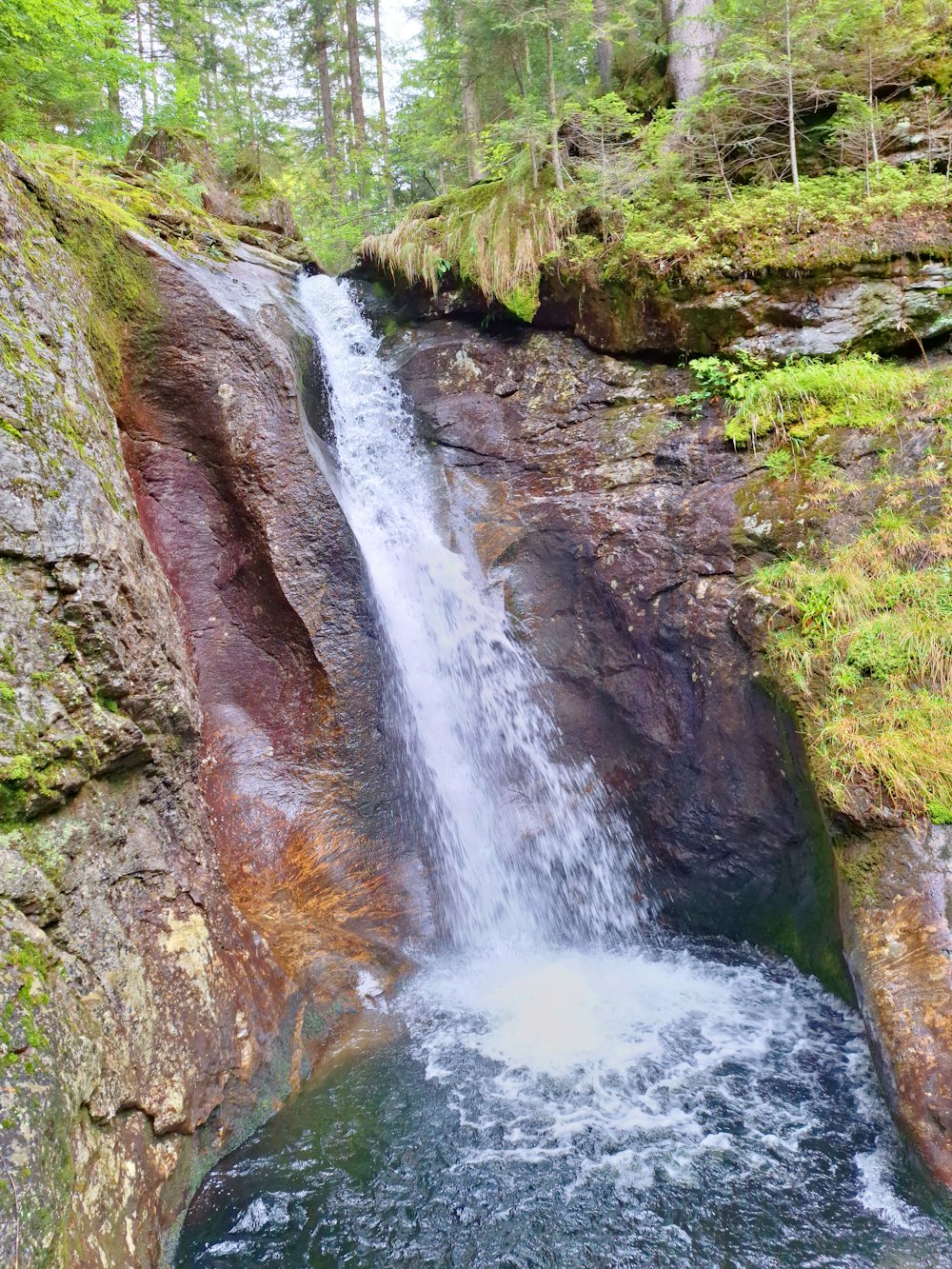 a waterfall in the middle of a forest