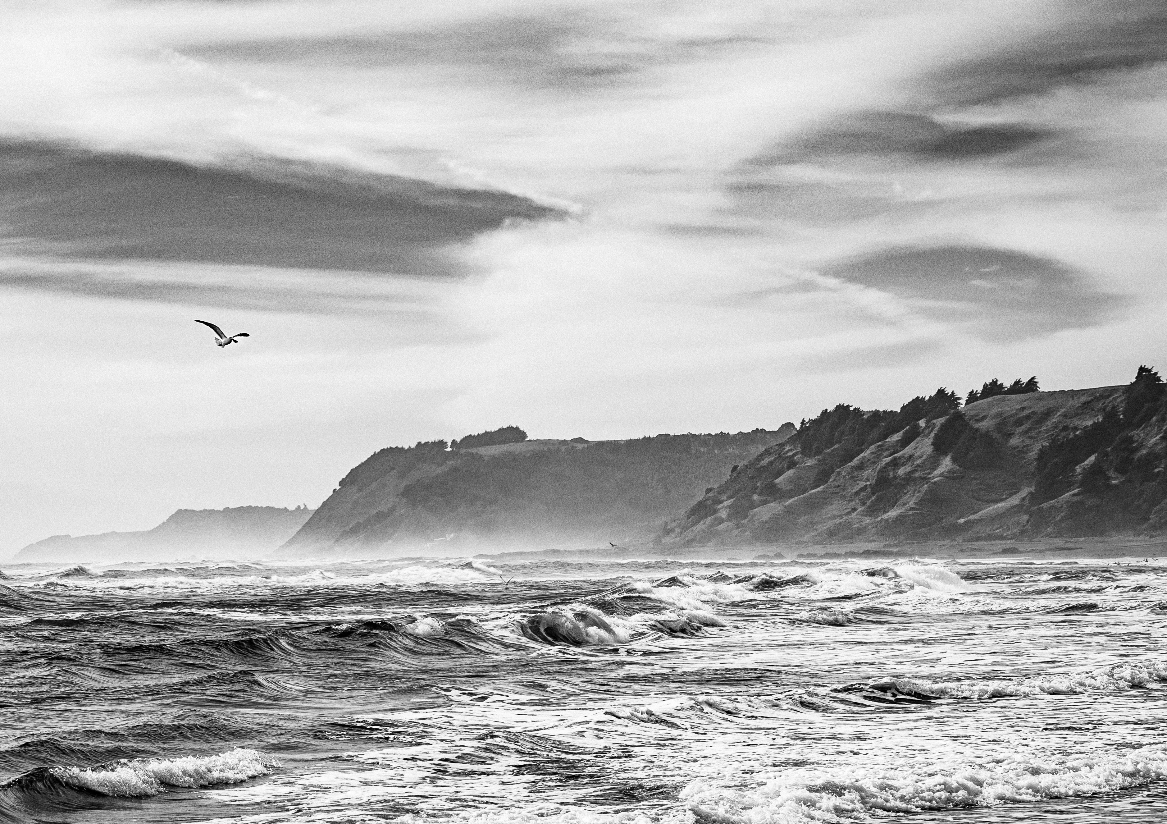 Photo by rdiazcaris