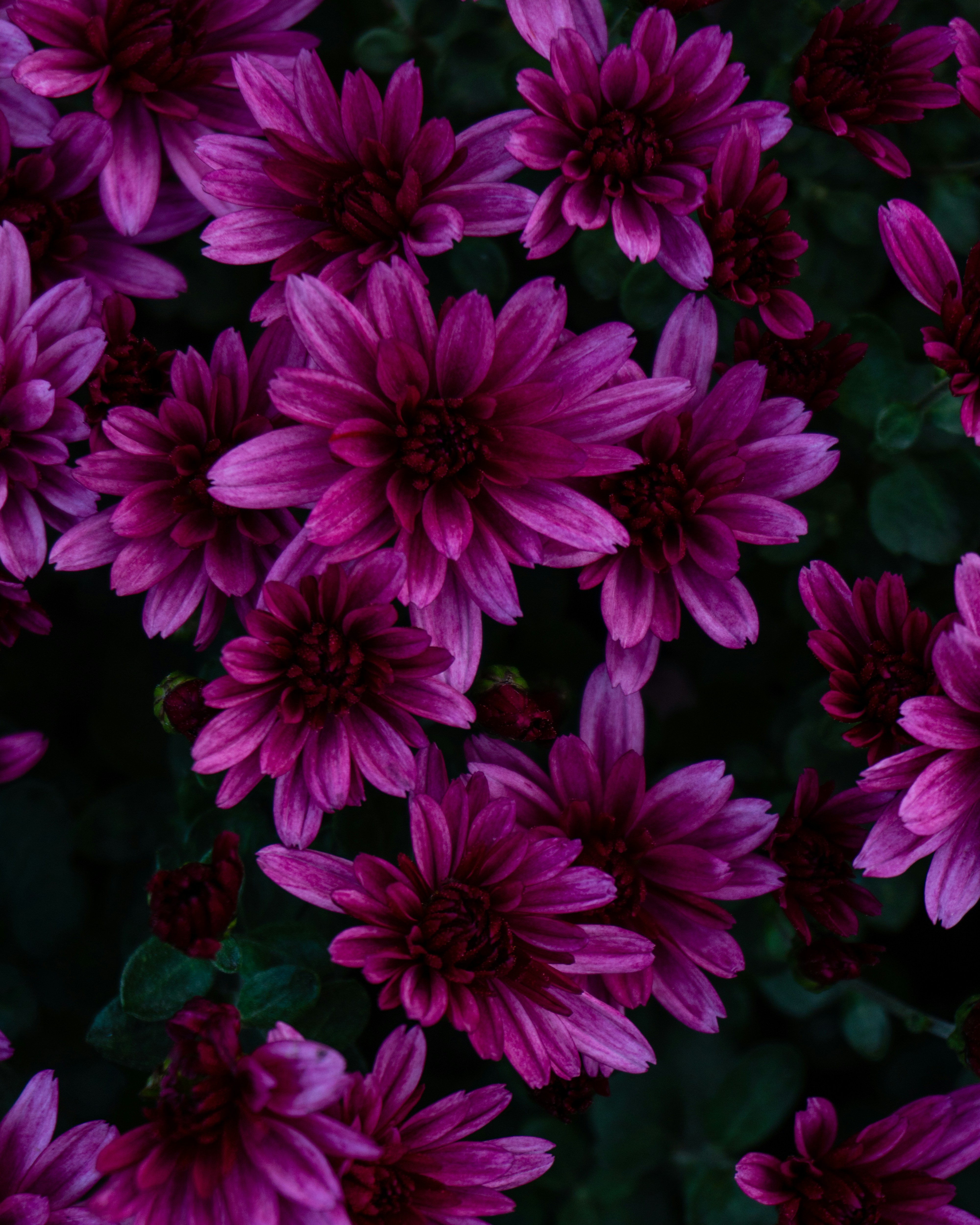 Photo by puskas_dominik