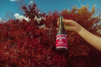 A hand is holding a bottle of Señorial Sangría soda against a background of lush red foliage under a clear blue sky.