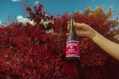 A hand is holding a bottle of Señorial Sangría soda against a background of lush red foliage under a clear blue sky.