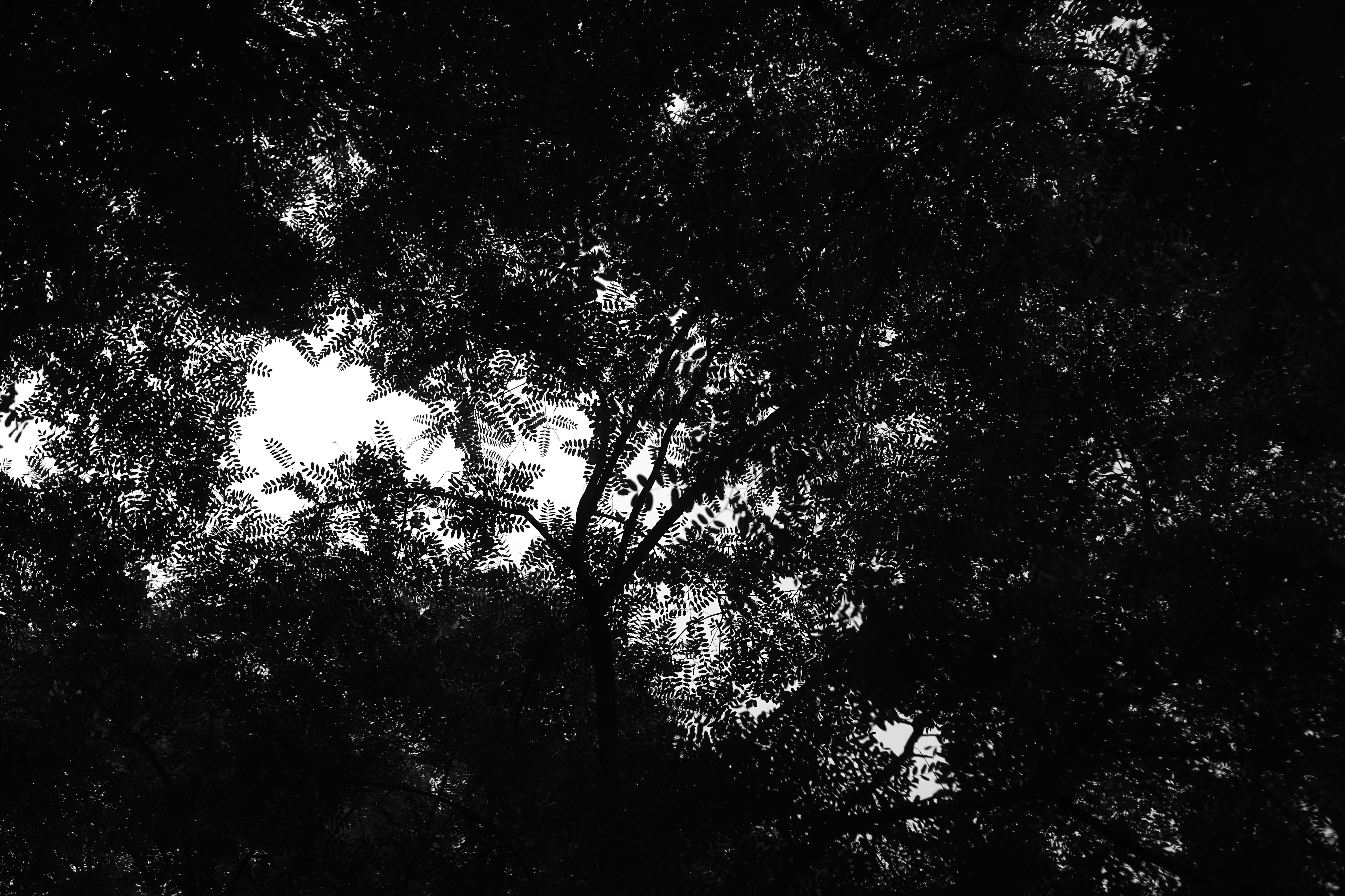 Photo by mikhail_mamaev