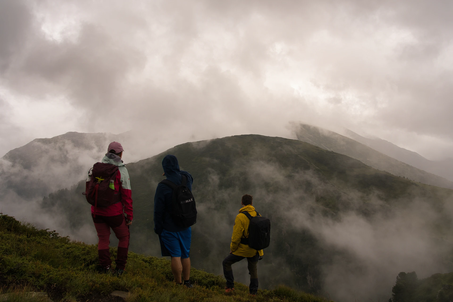 a group of people standing on top of a lush green hillside