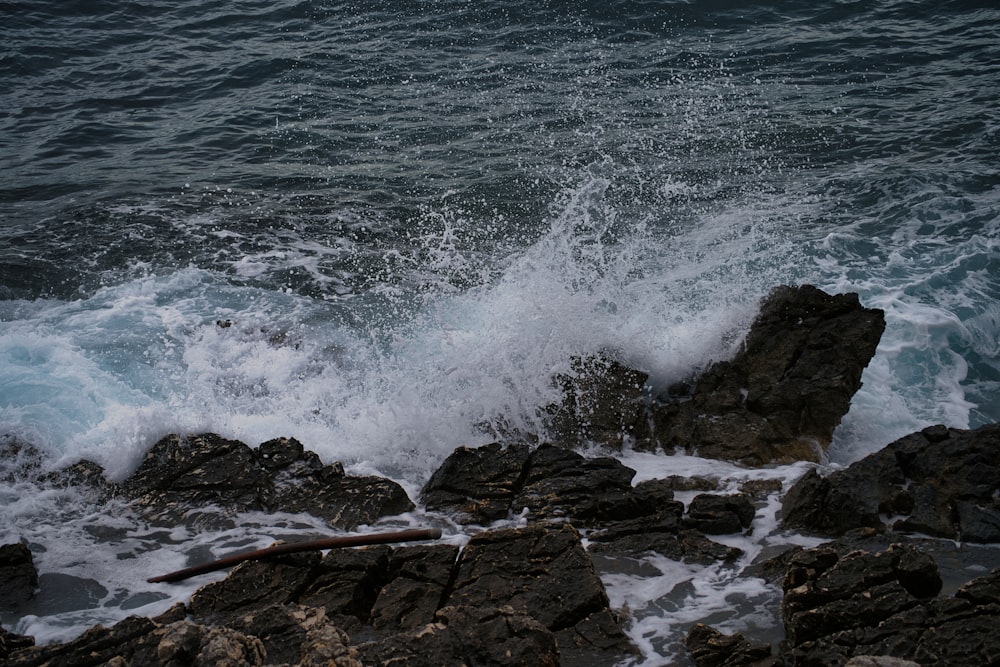 a large body of water next to a rocky shore