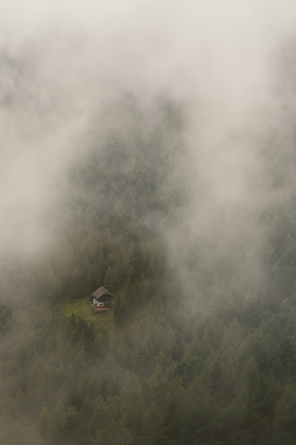 a house in the middle of a foggy forest