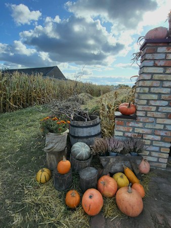 An outdoor scene with a mix of pumpkins and gourds arranged around a wooden barrel and a brick pillar. The setting suggests a rural, autumnal vibe with dried cornstalks and a field in the background. Potted plants and flowers add to the decorative display. The sky is partly cloudy with patches of blue shining through.