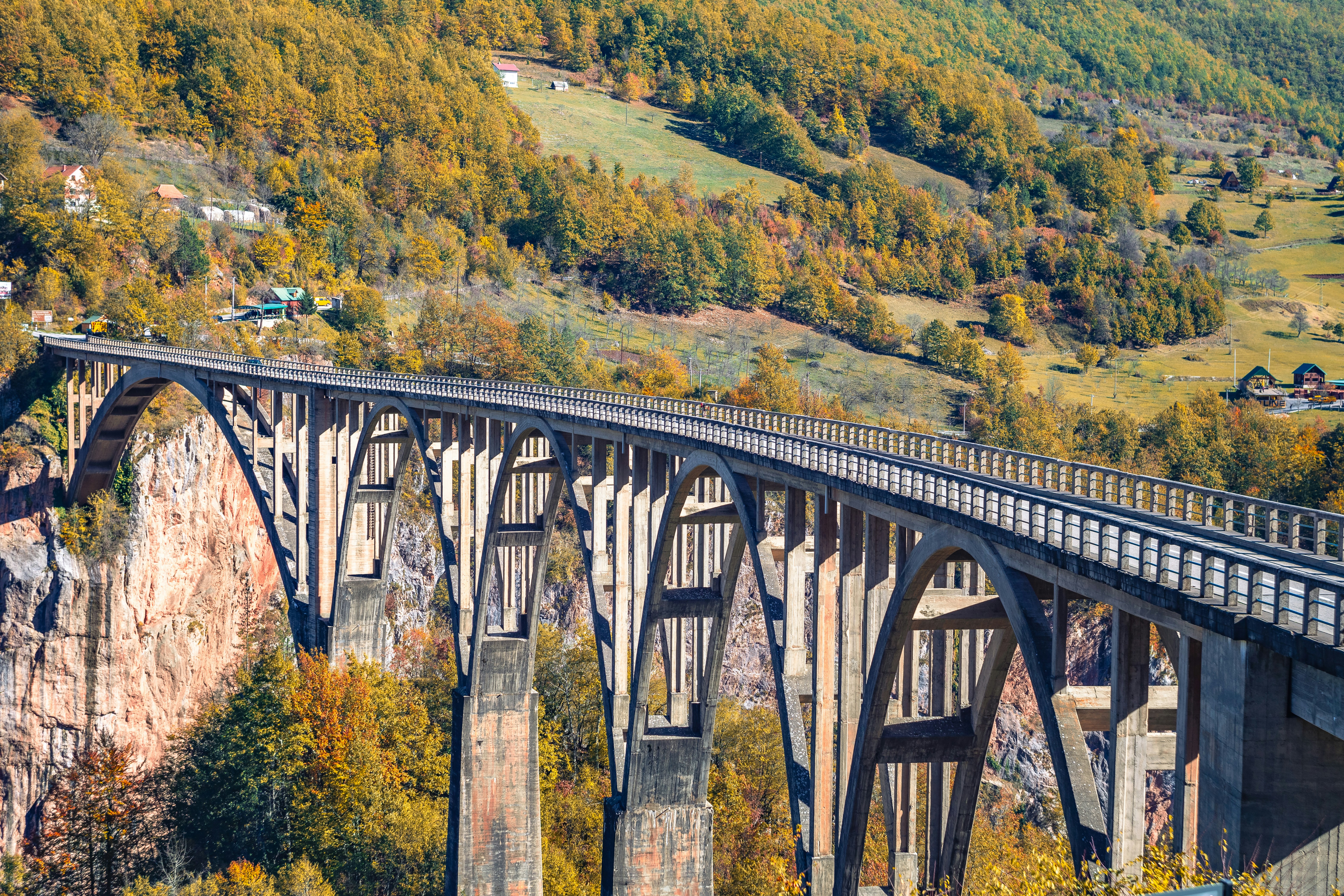 a train traveling over a bridge surrounded by trees
