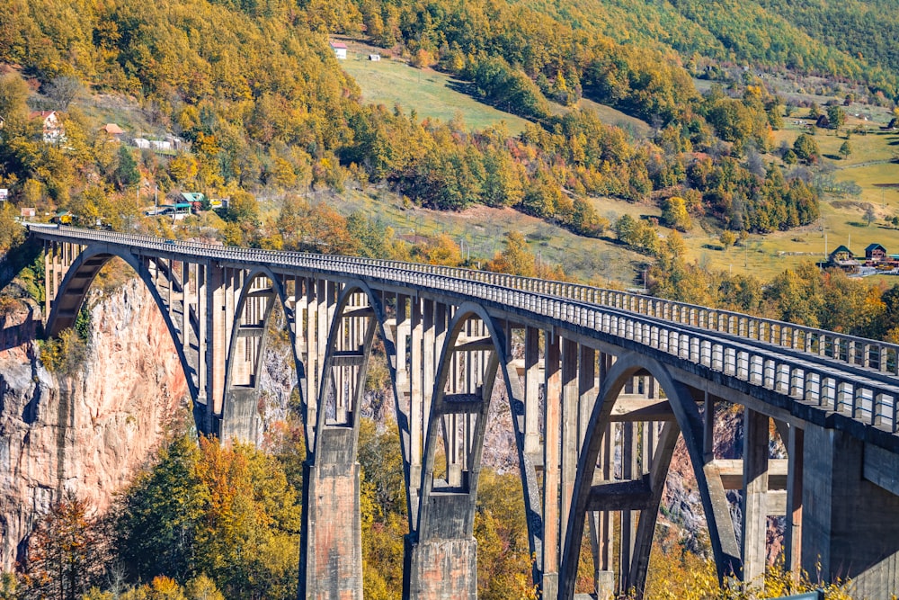 Un tren que viaja por un puente rodeado de árboles