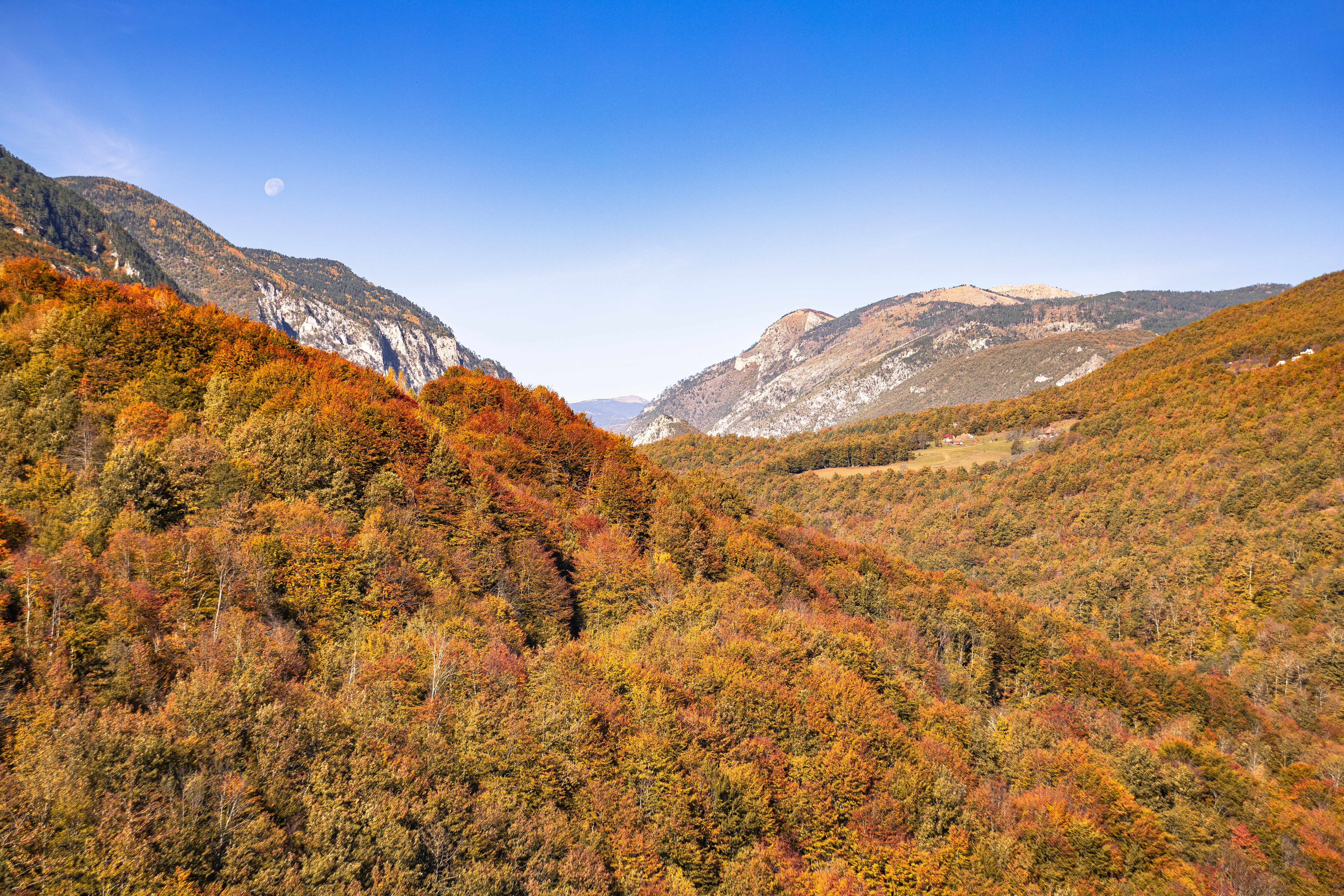 Photo by took_a_snap