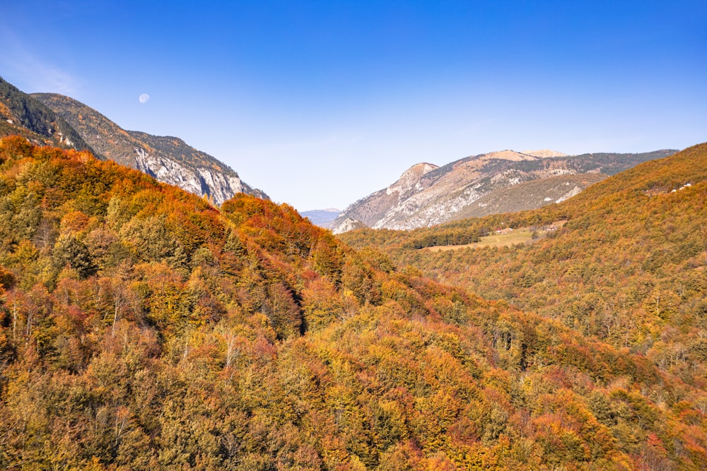 a scenic view of a mountain range in autumn