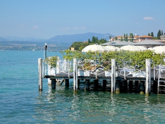 A wooden deck extends over a serene body of water, adorned with white railings and flowering plants. Several large umbrellas provide shade over lounge chairs. The backdrop features a distant view of rolling hills and coastline under a clear blue sky.
