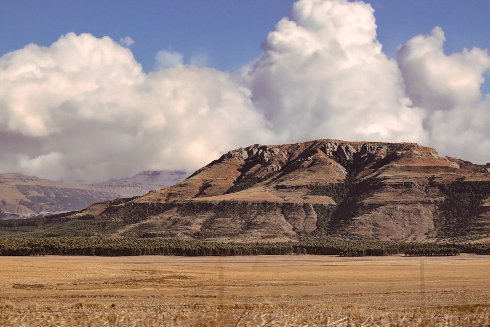 a field with a mountain in the background