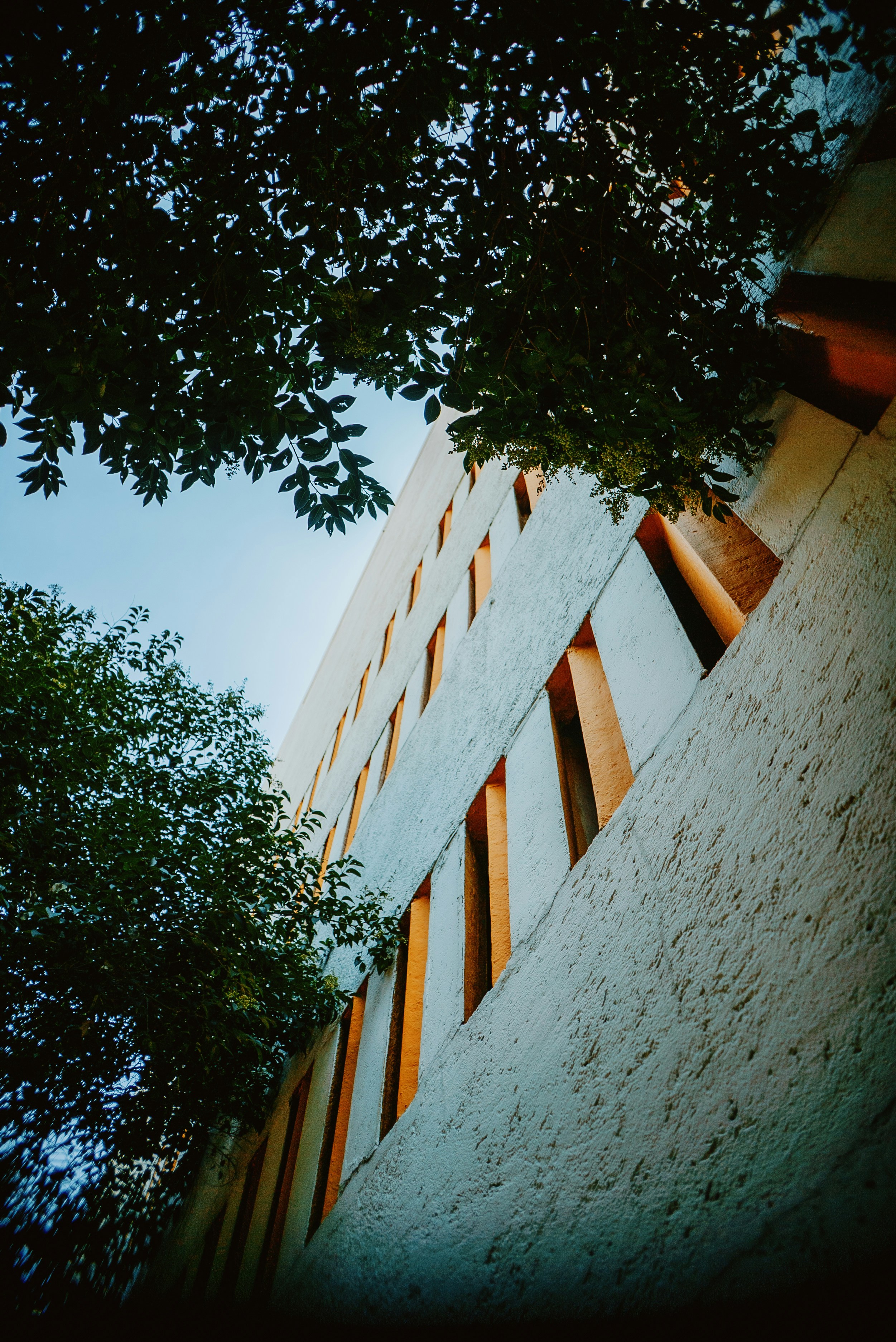 Photo by evanthewise