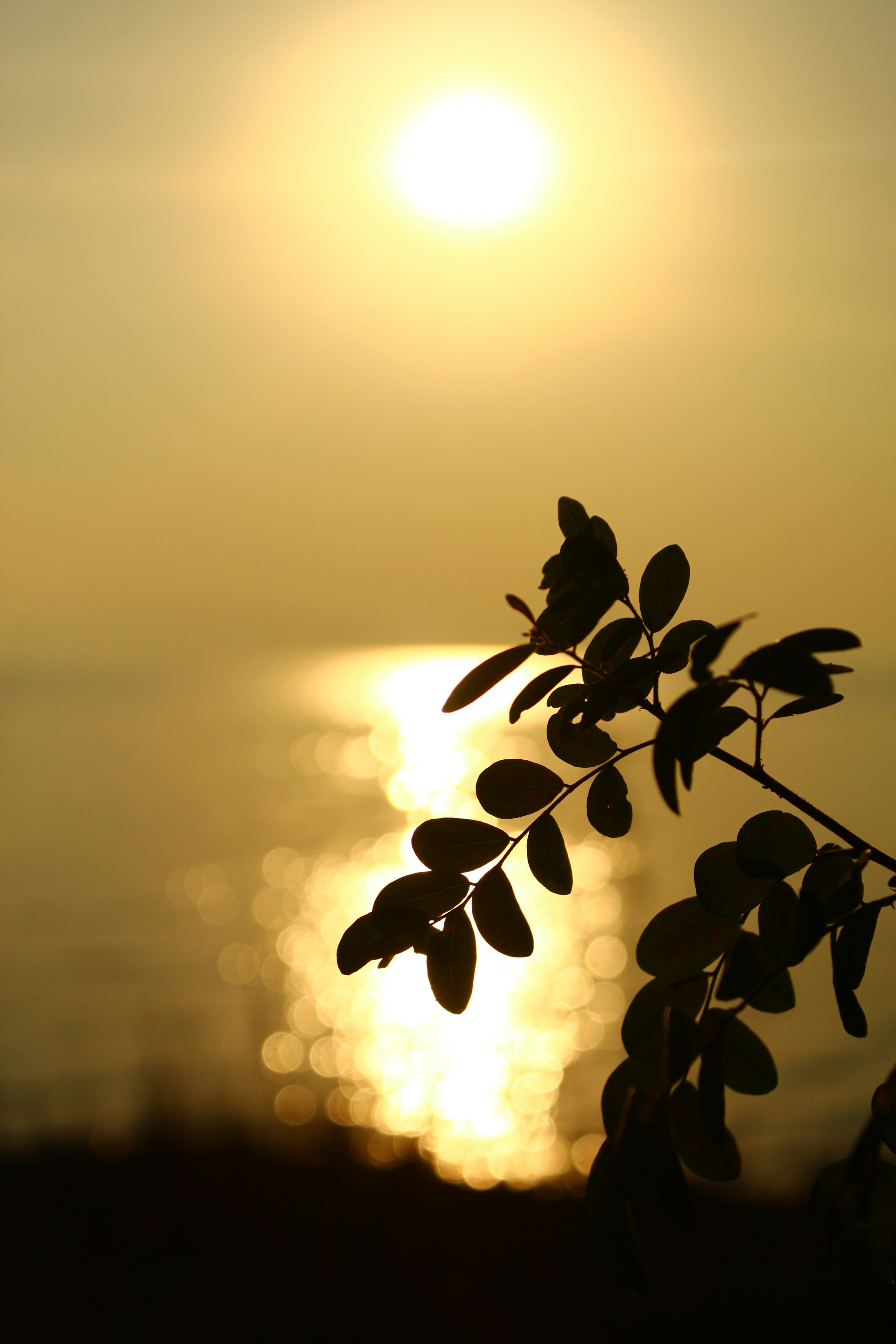 Photo by technorajat24