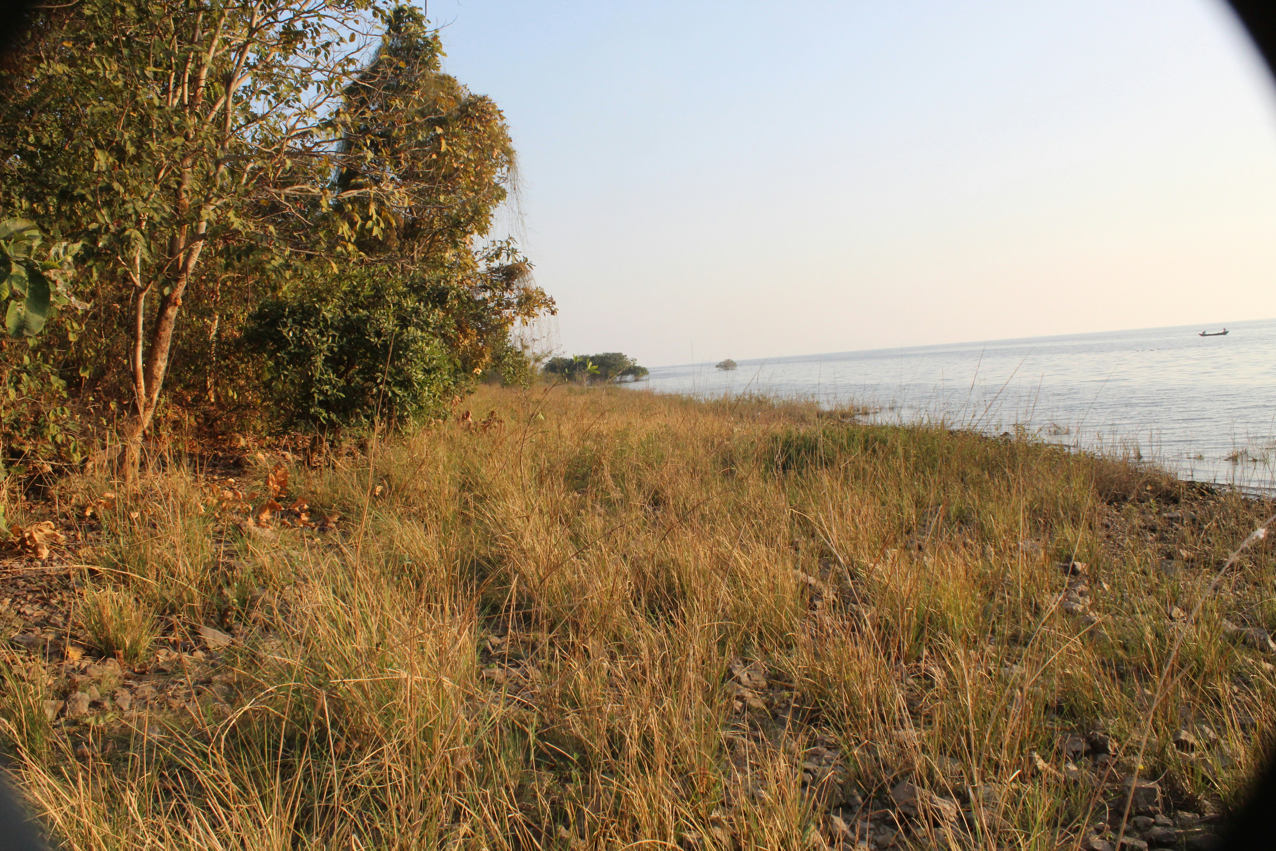 Photo by technorajat24