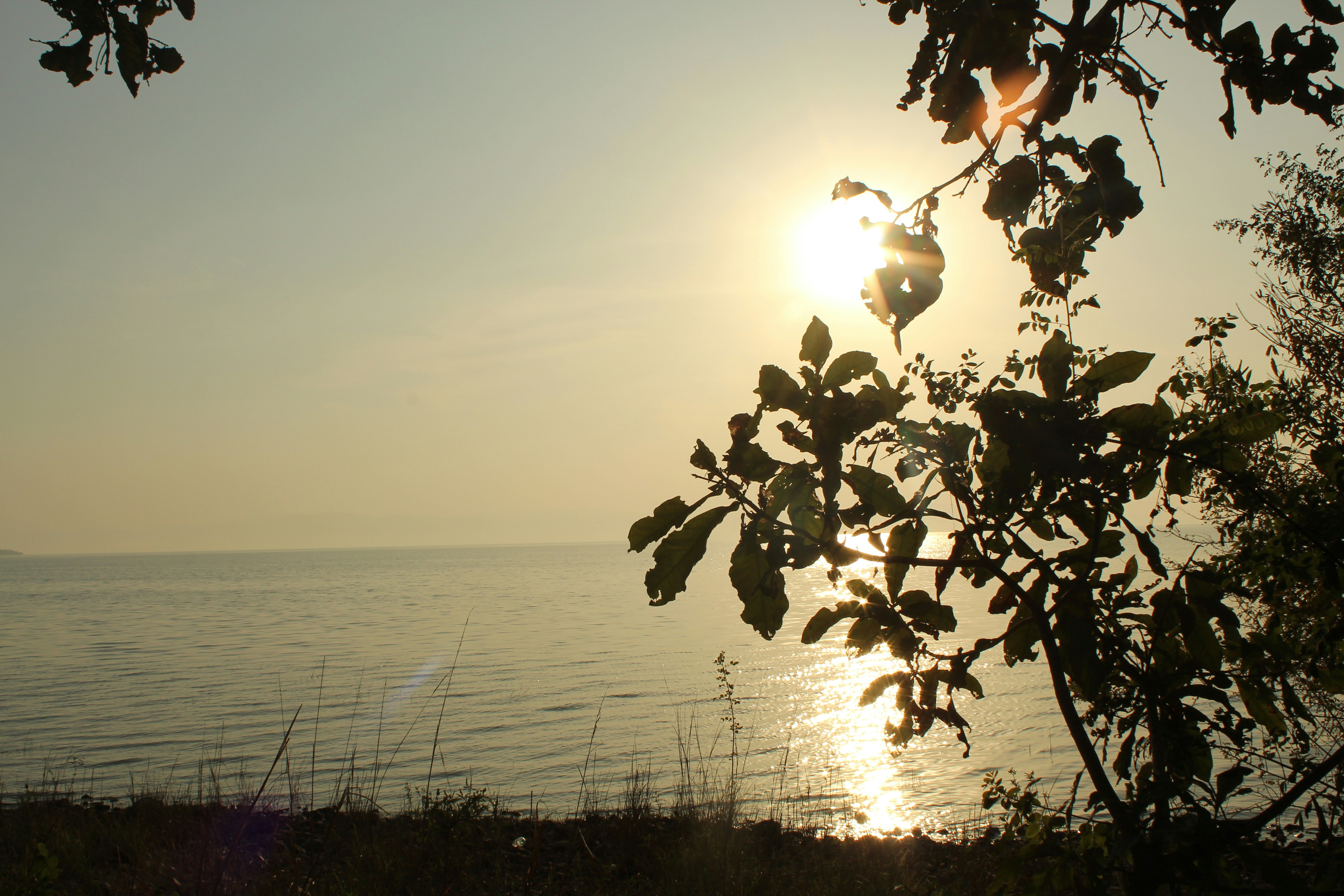 Photo by technorajat24