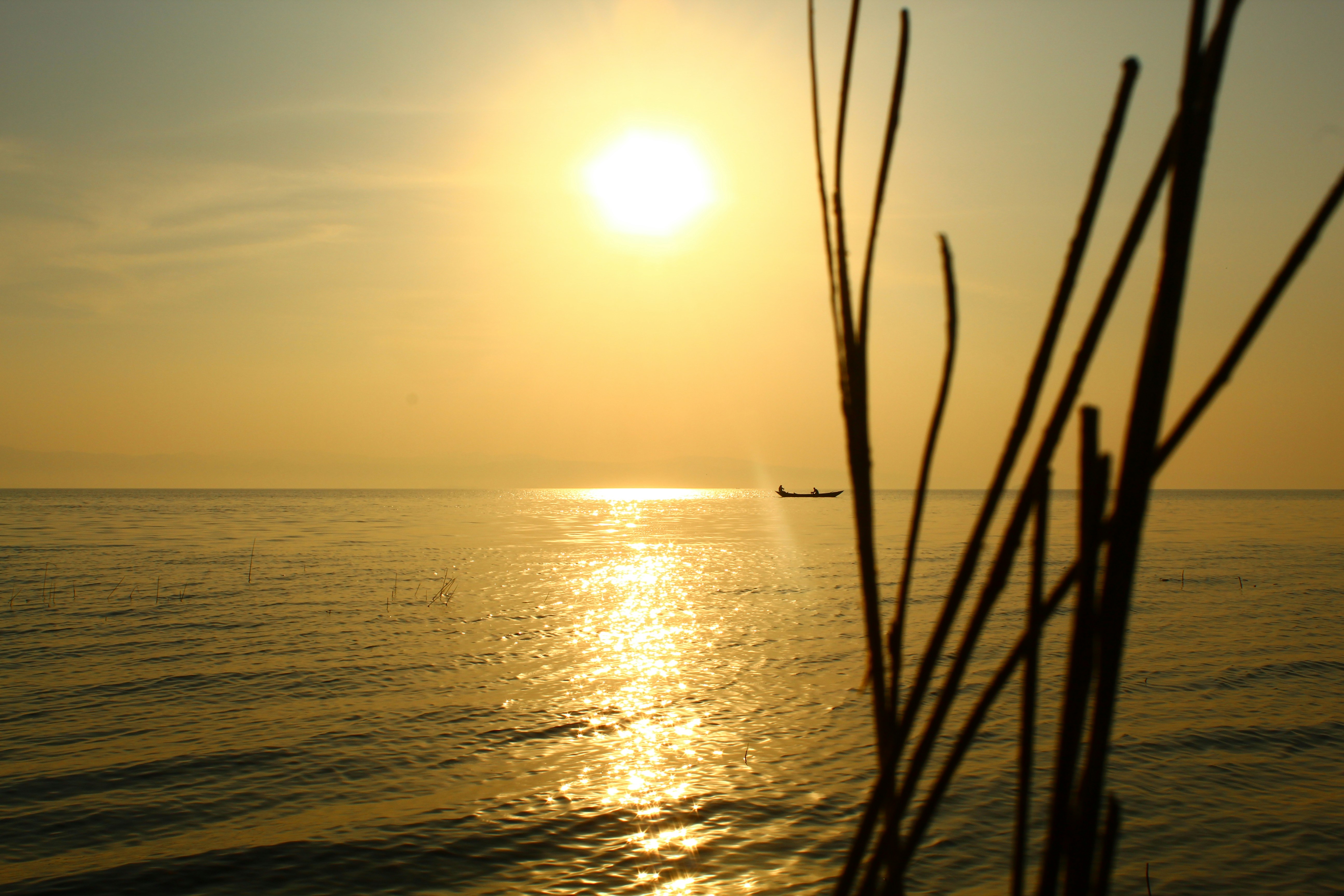 Photo by technorajat24