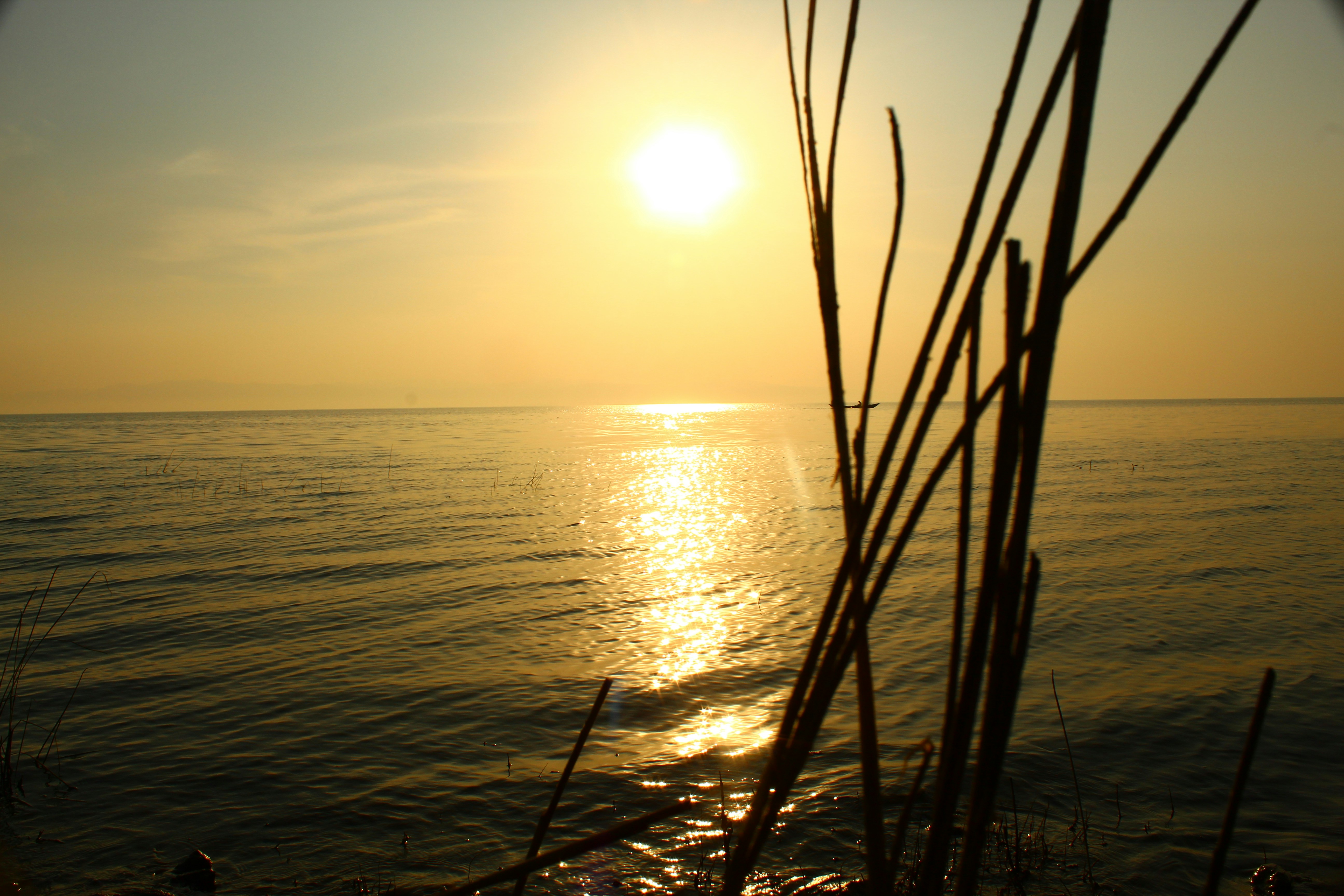 Photo by technorajat24