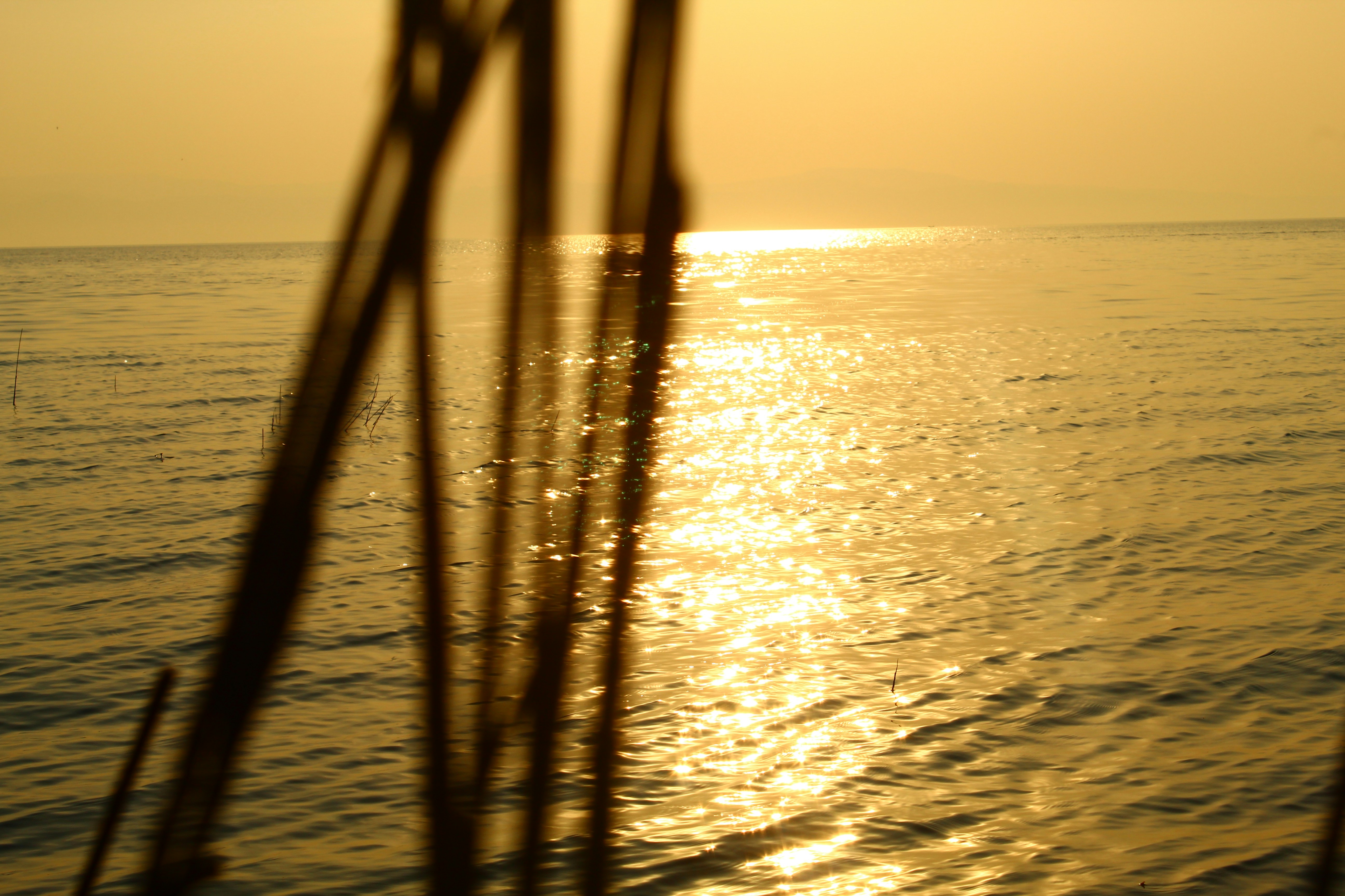 Photo by technorajat24