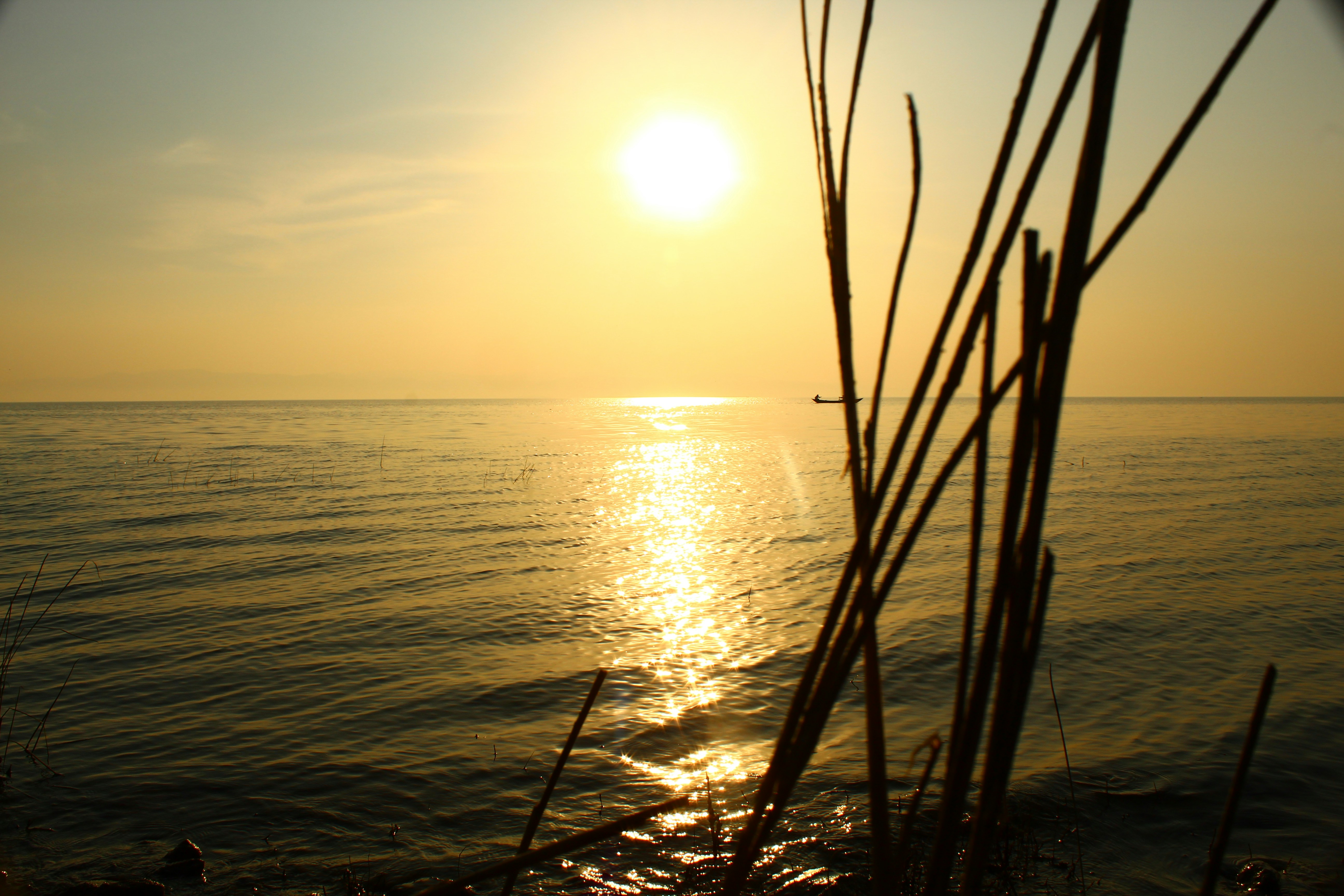 Photo by technorajat24