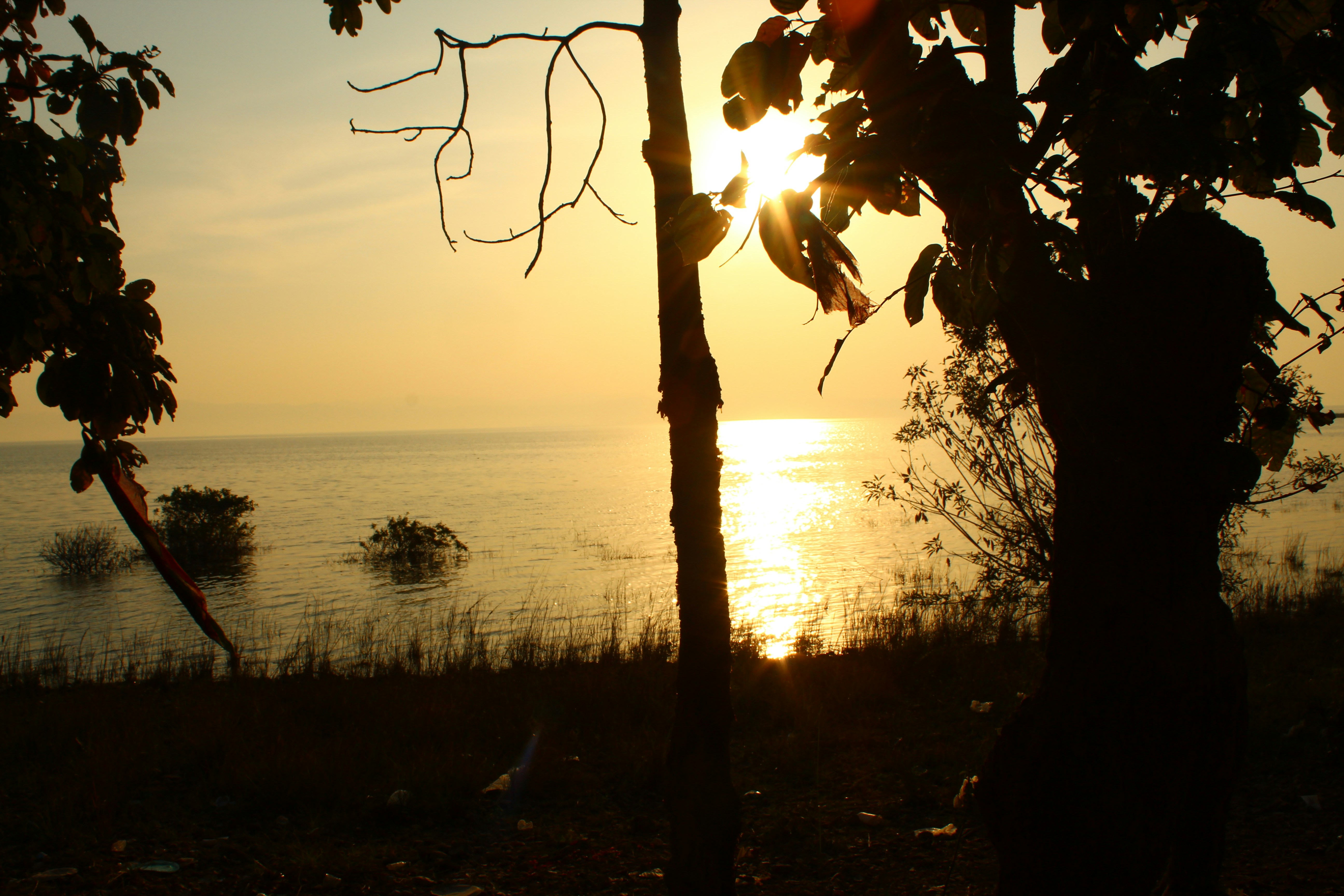 Photo by technorajat24