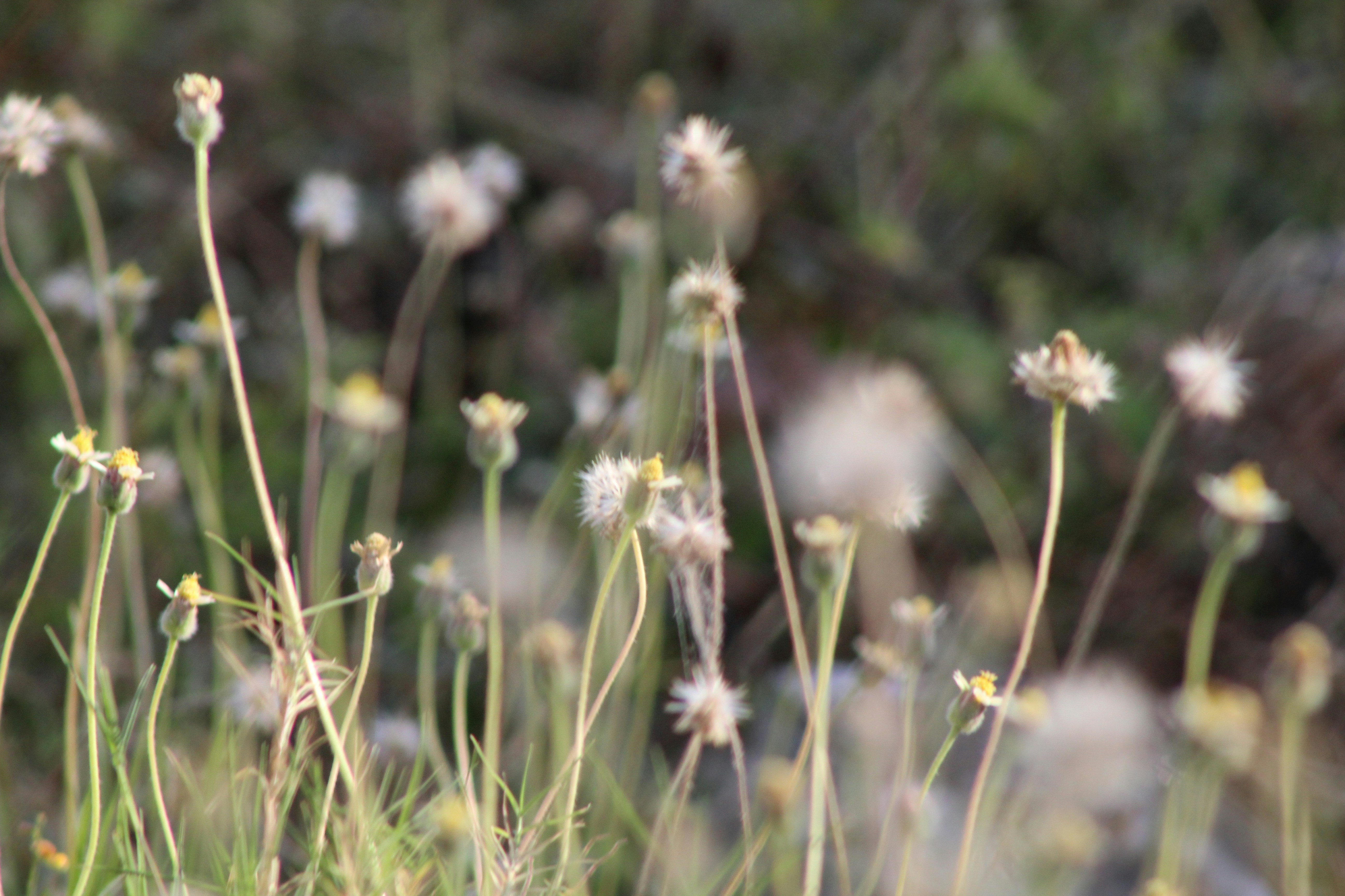 Photo by technorajat24