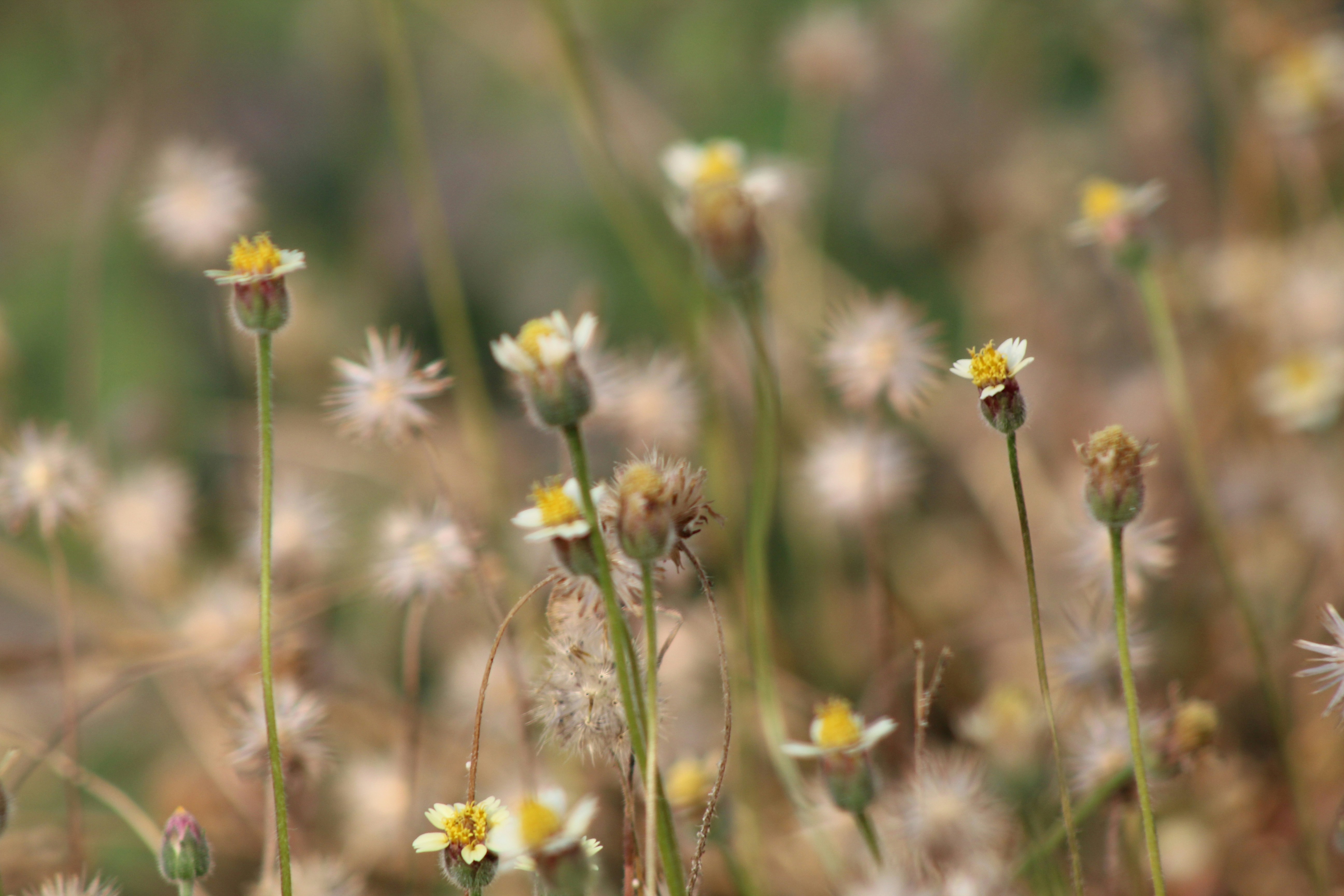 Photo by technorajat24