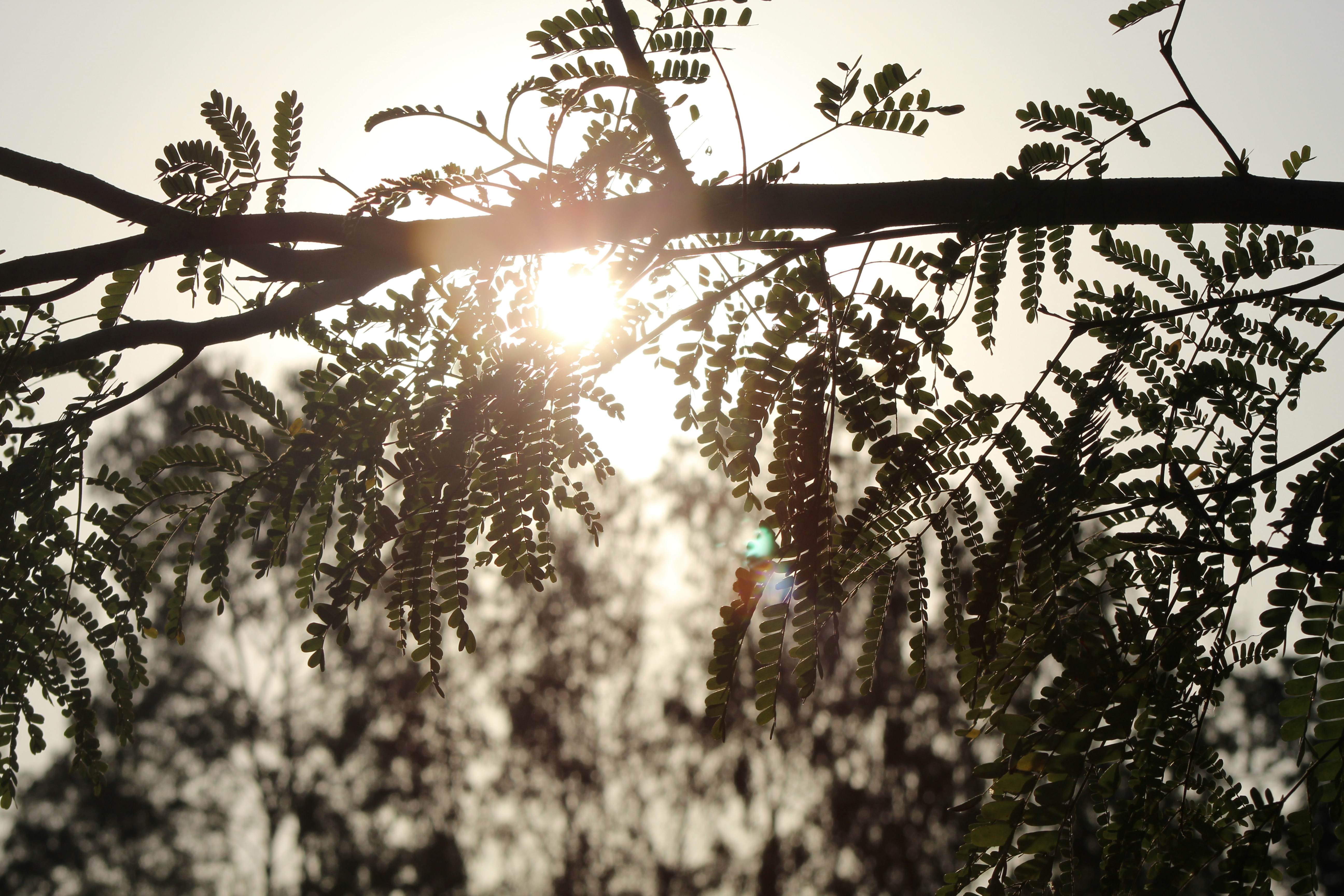 Photo by technorajat24